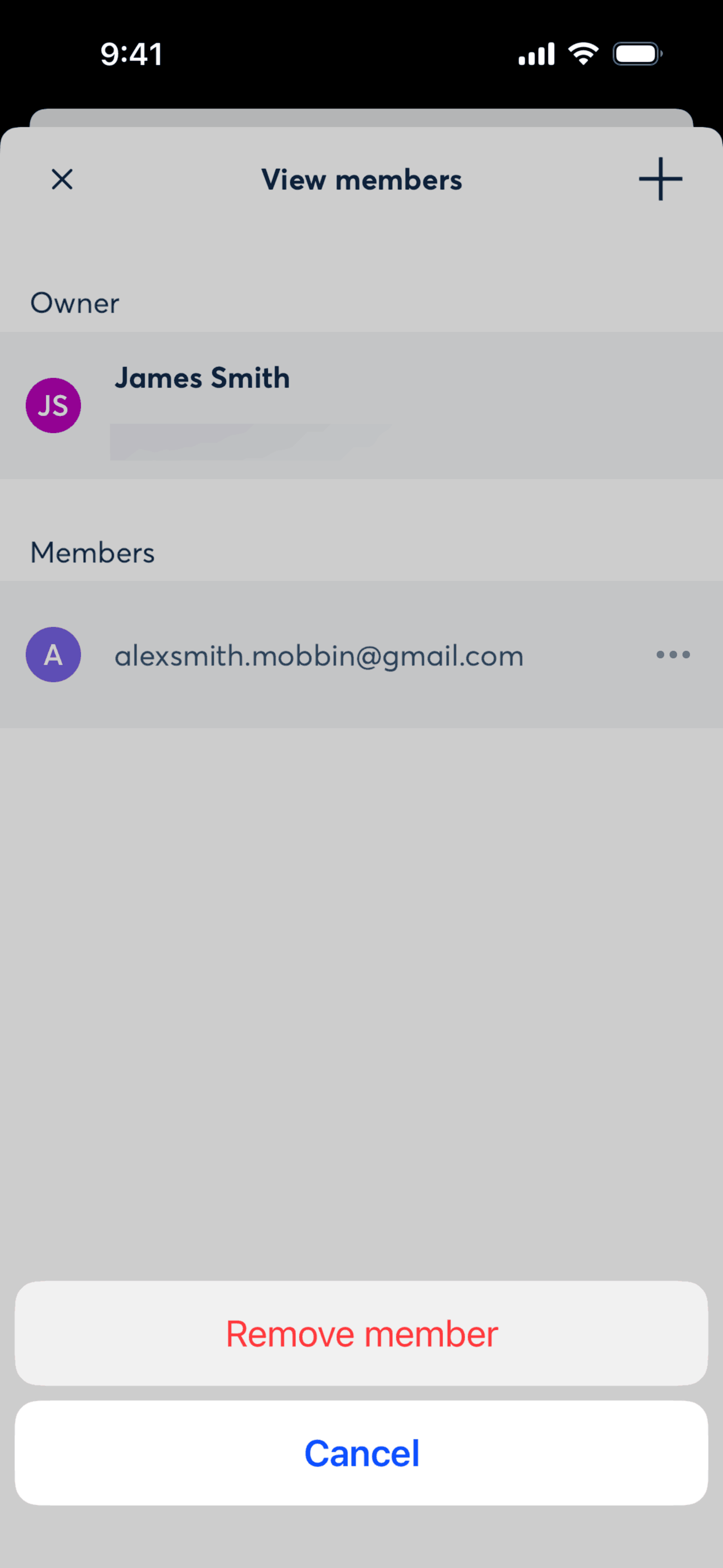 Otter.ai iOS AI interface screenshot 10