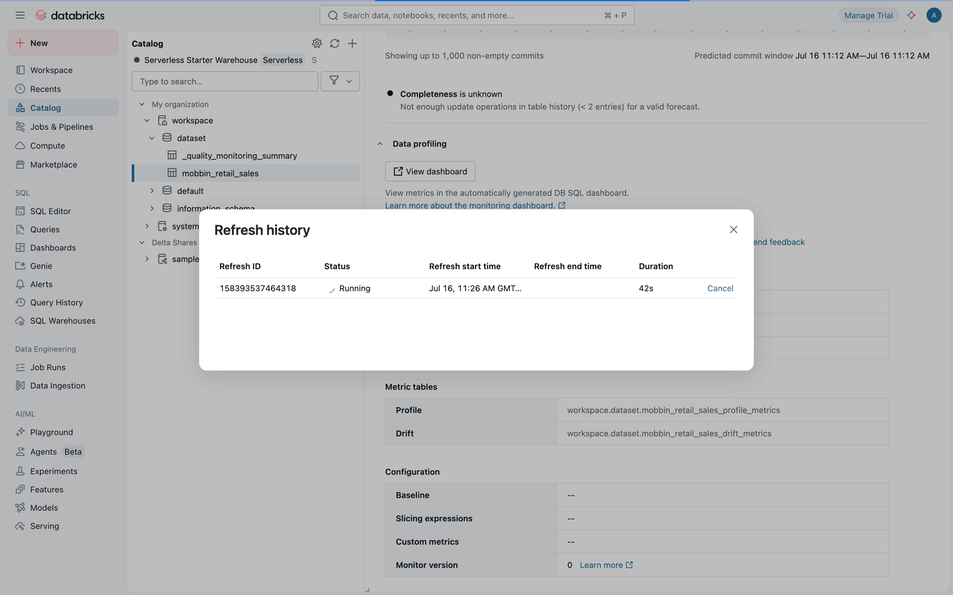 Databricks Web Developer Tools interface screenshot 6