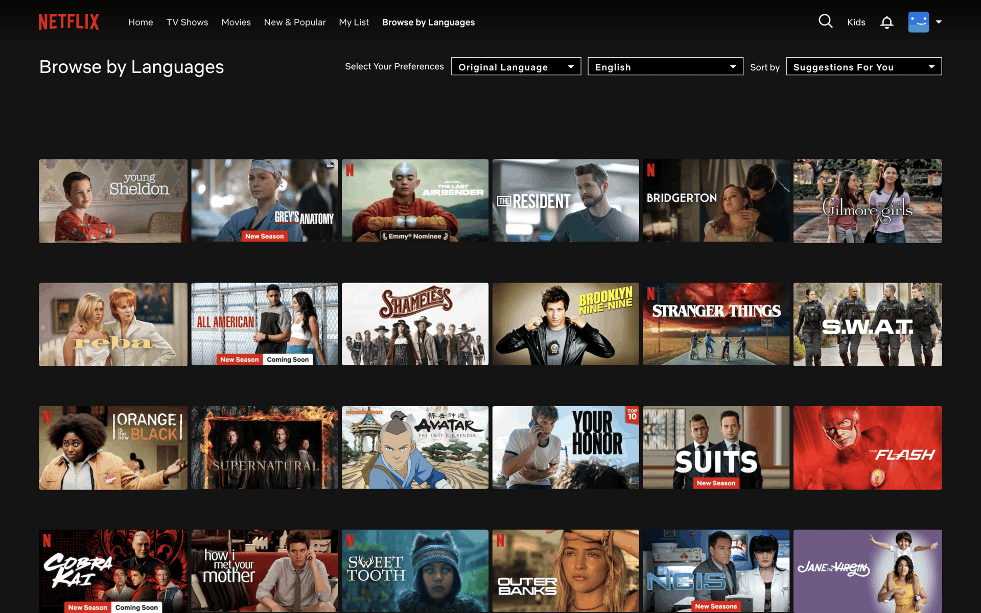 Netflix Web Entertainment interface screenshot 10