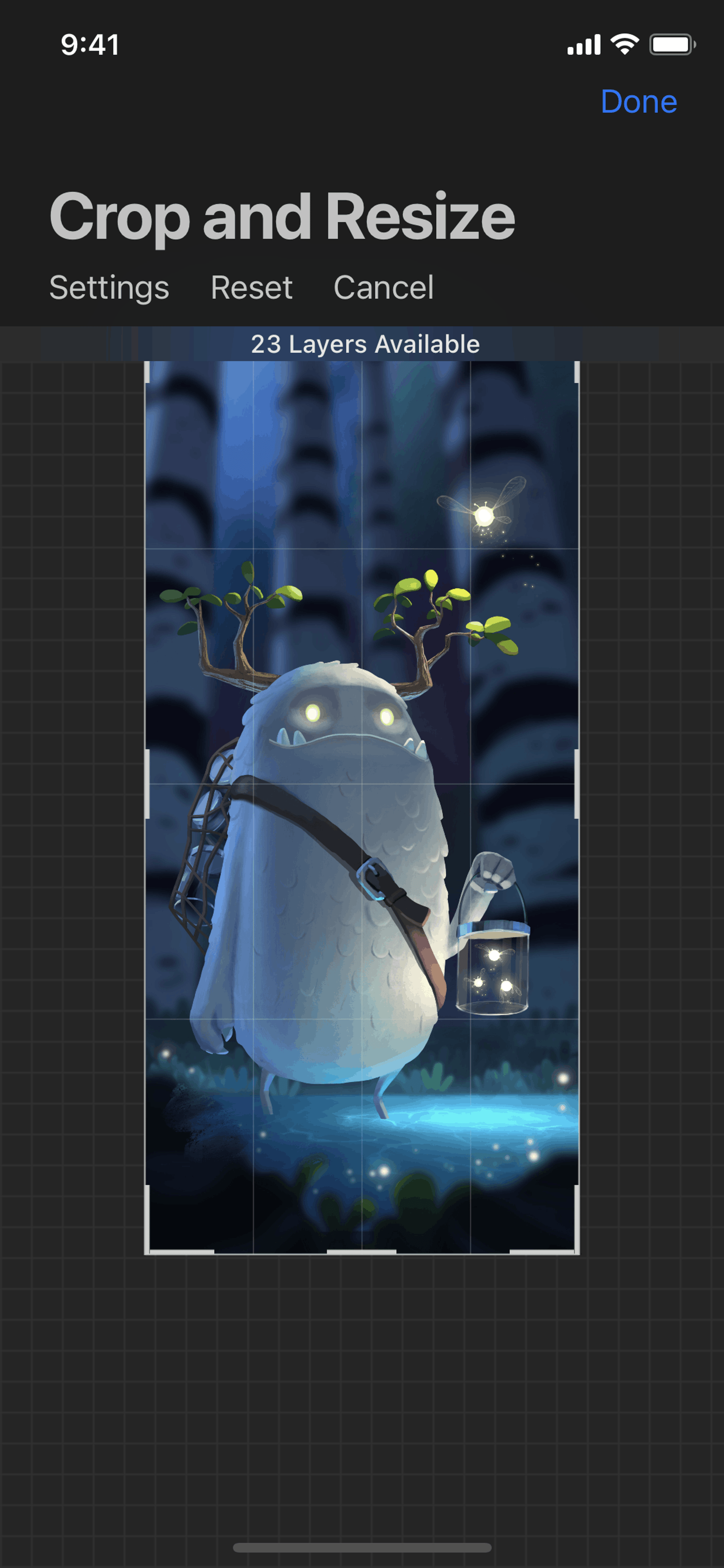 Procreate Pocket iOS Graphics & Design interface screenshot 20