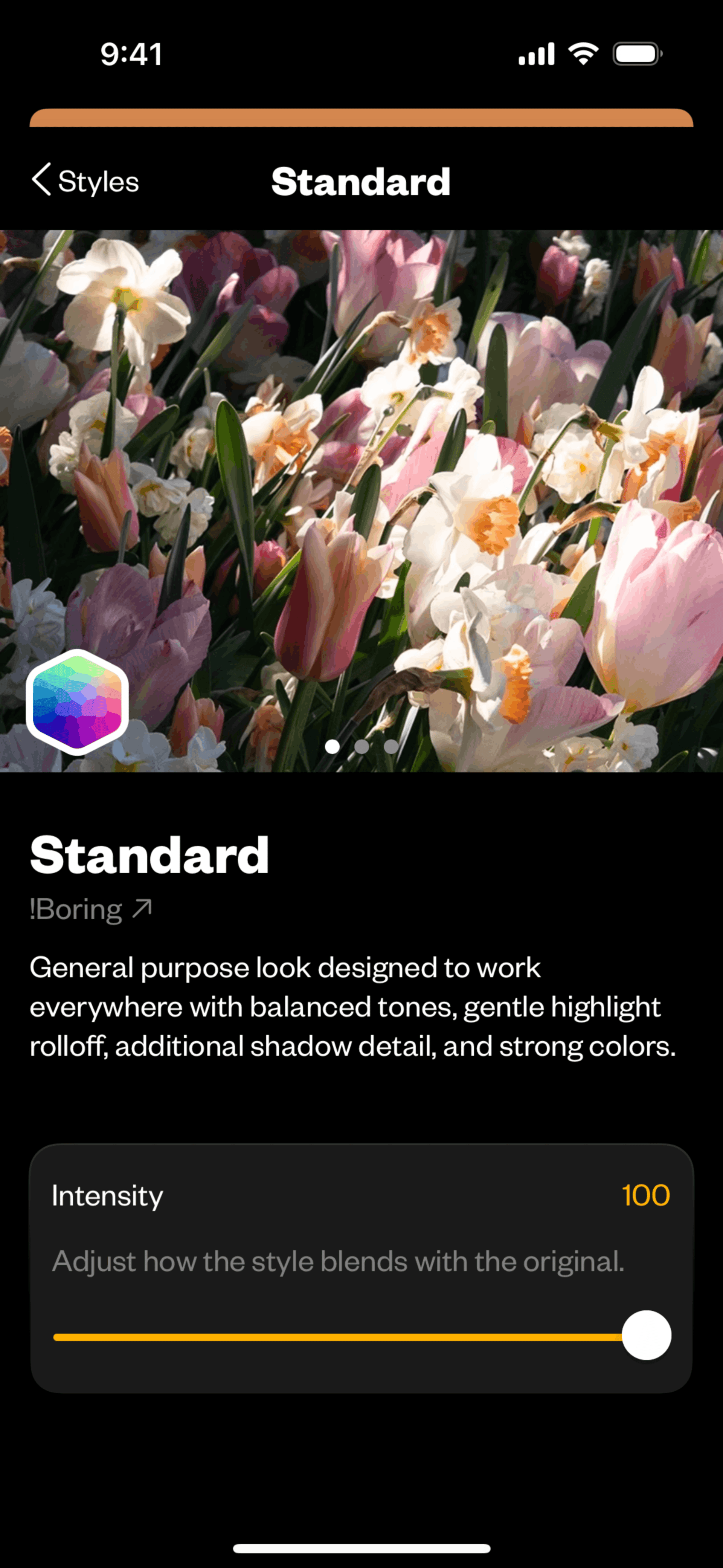 (Not Boring) Camera iOS Photo & Video interface screenshot 11