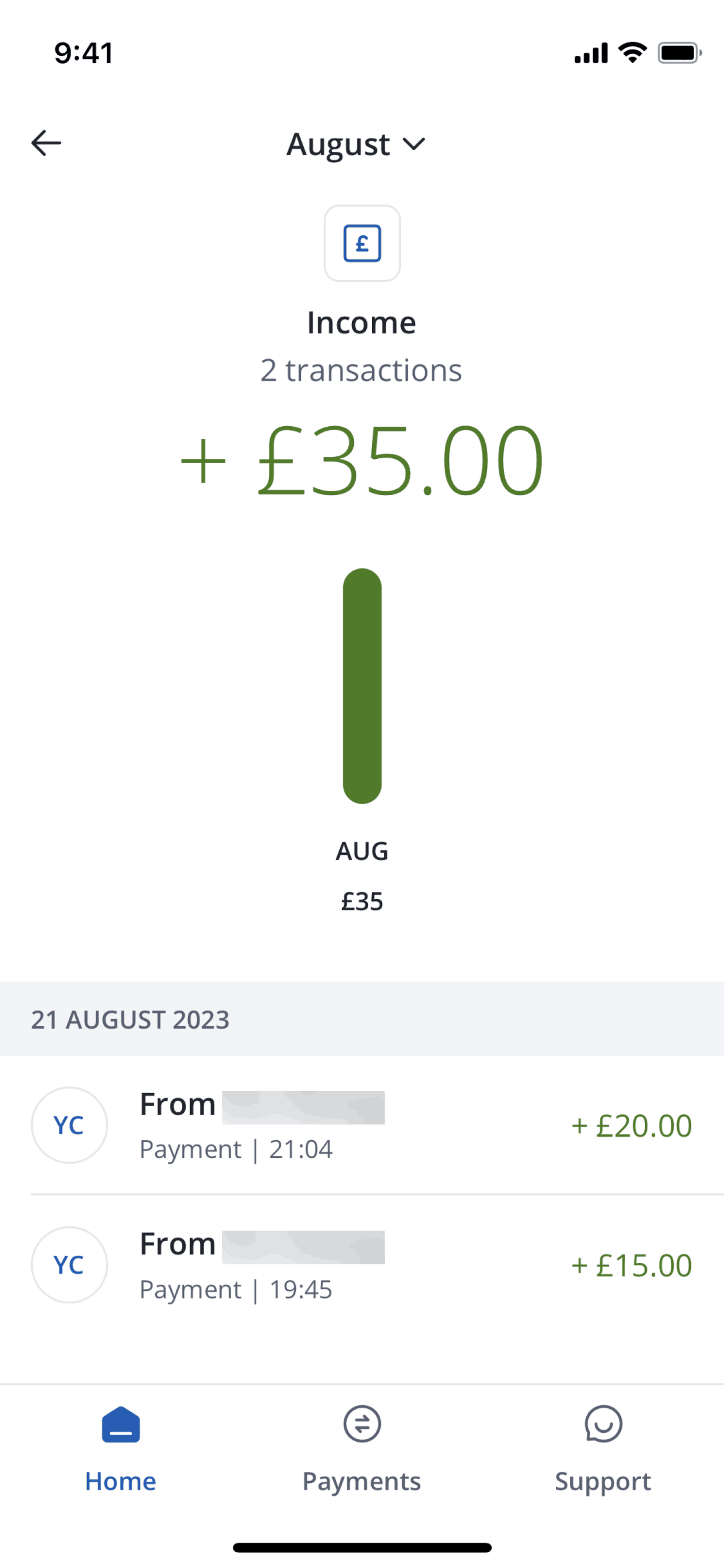 Chase UK iOS Finance interface screenshot 18