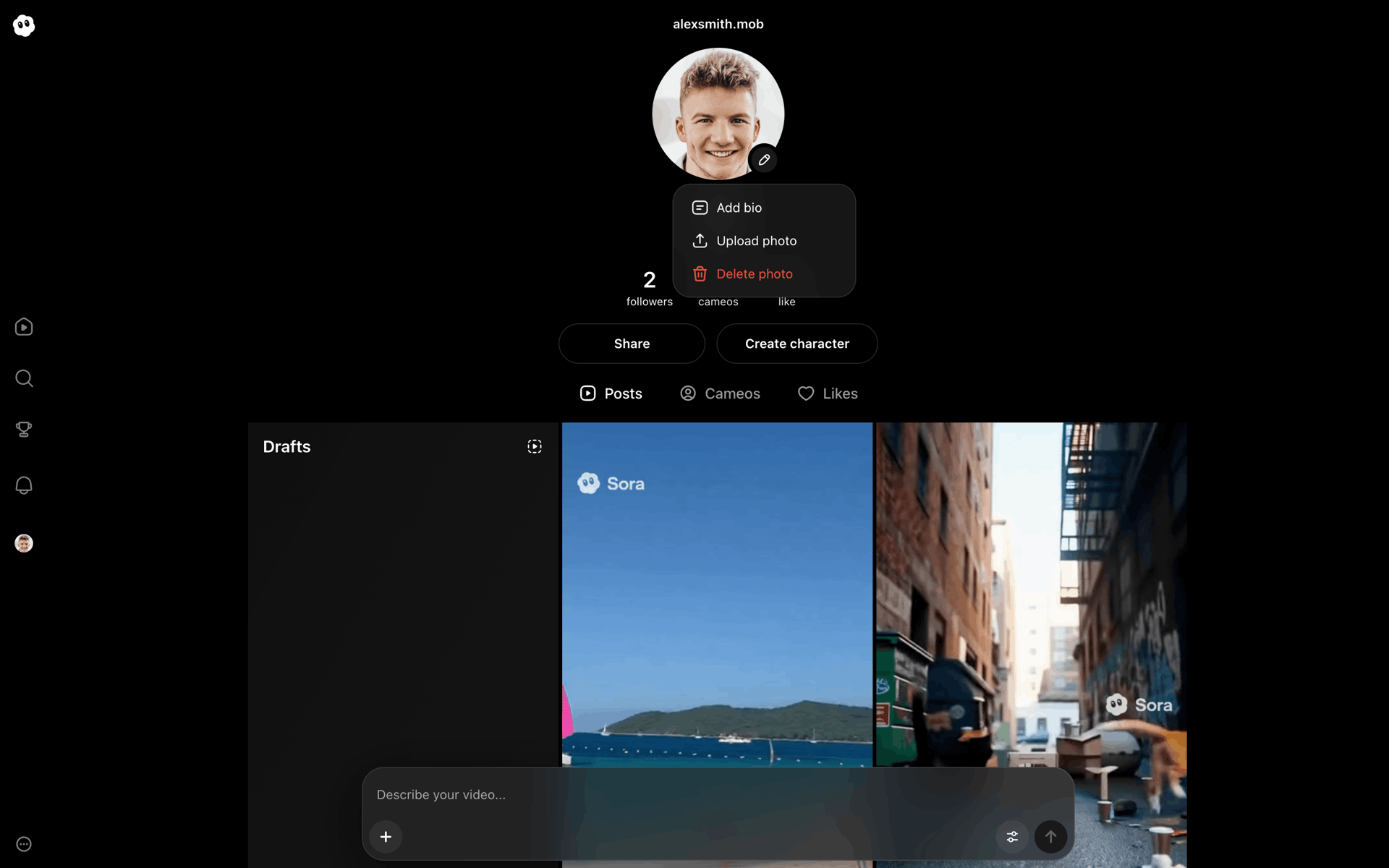 Sora Web AI interface screenshot 24