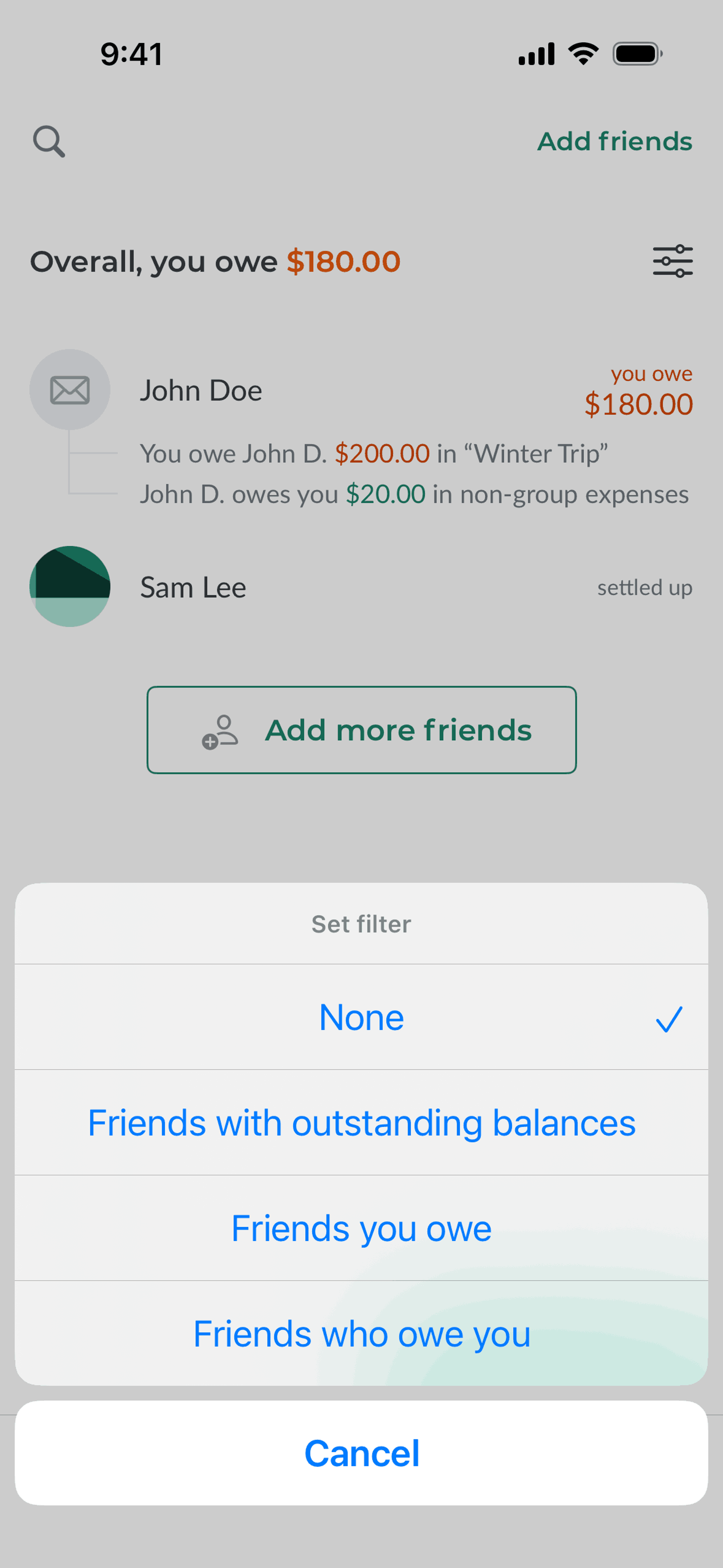 Splitwise iOS Finance interface screenshot 11
