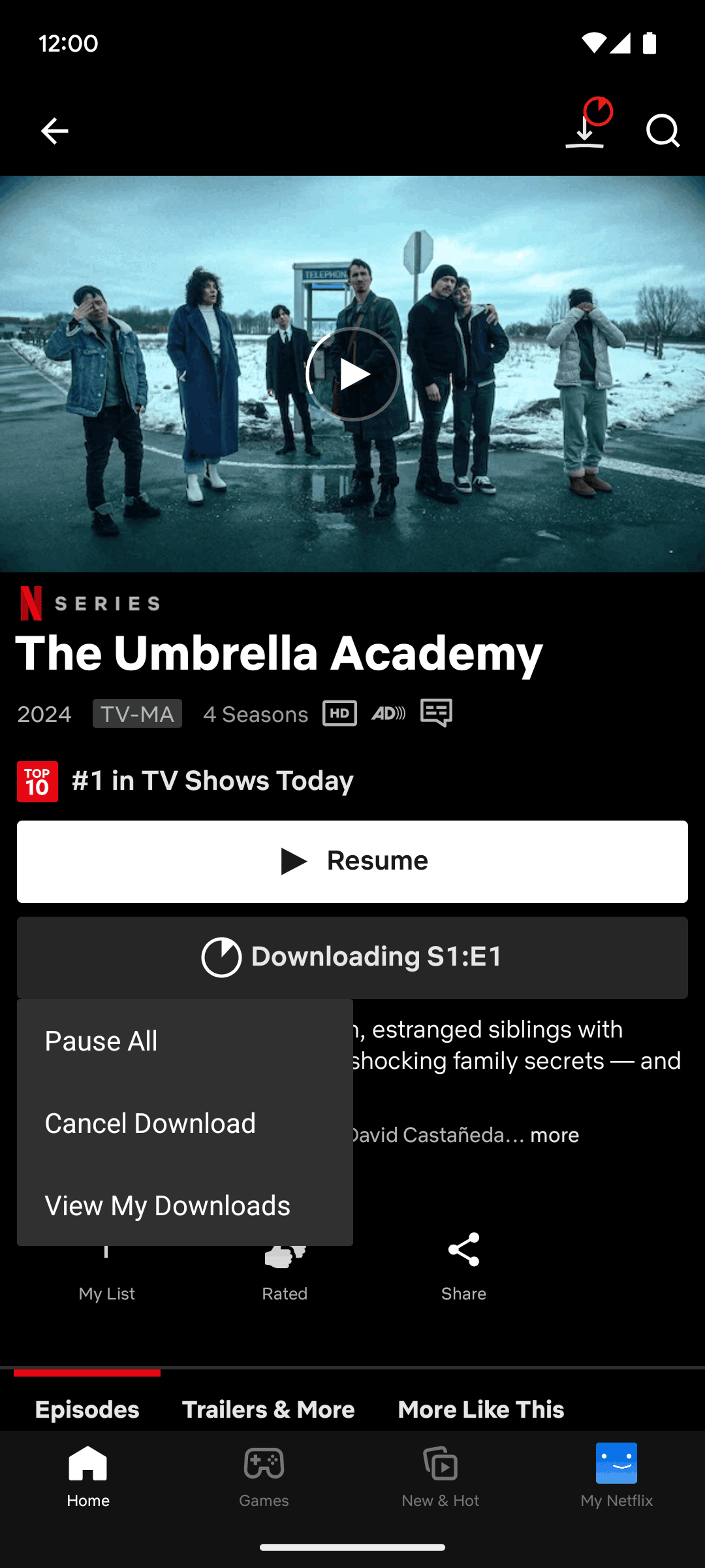 Netflix Android Entertainment interface screenshot 21