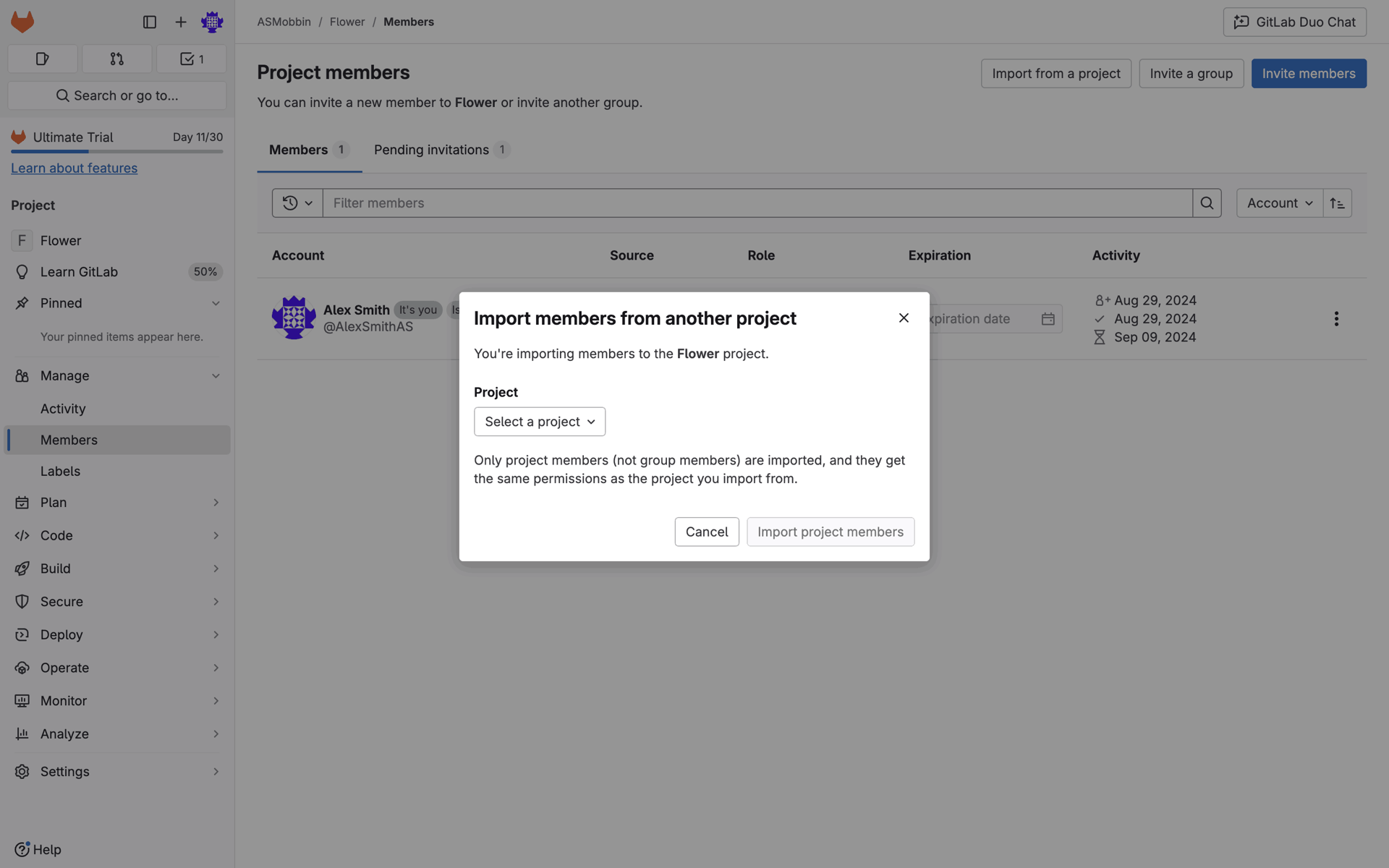 GitLab Web Developer Tools interface screenshot 17