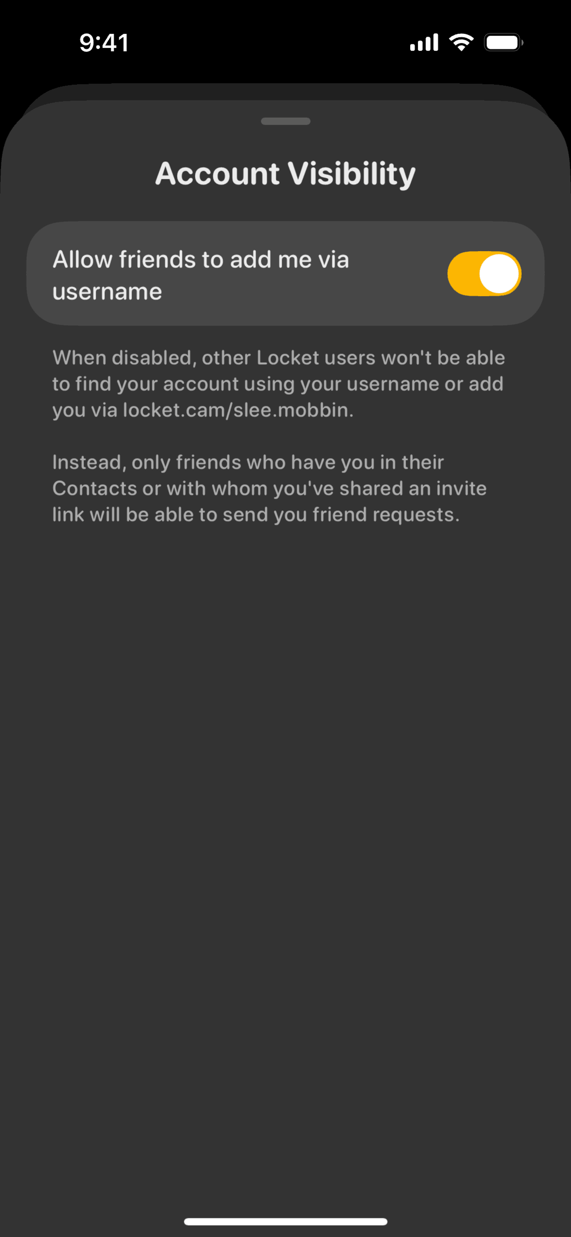 Locket iOS Photo & Video interface screenshot 14