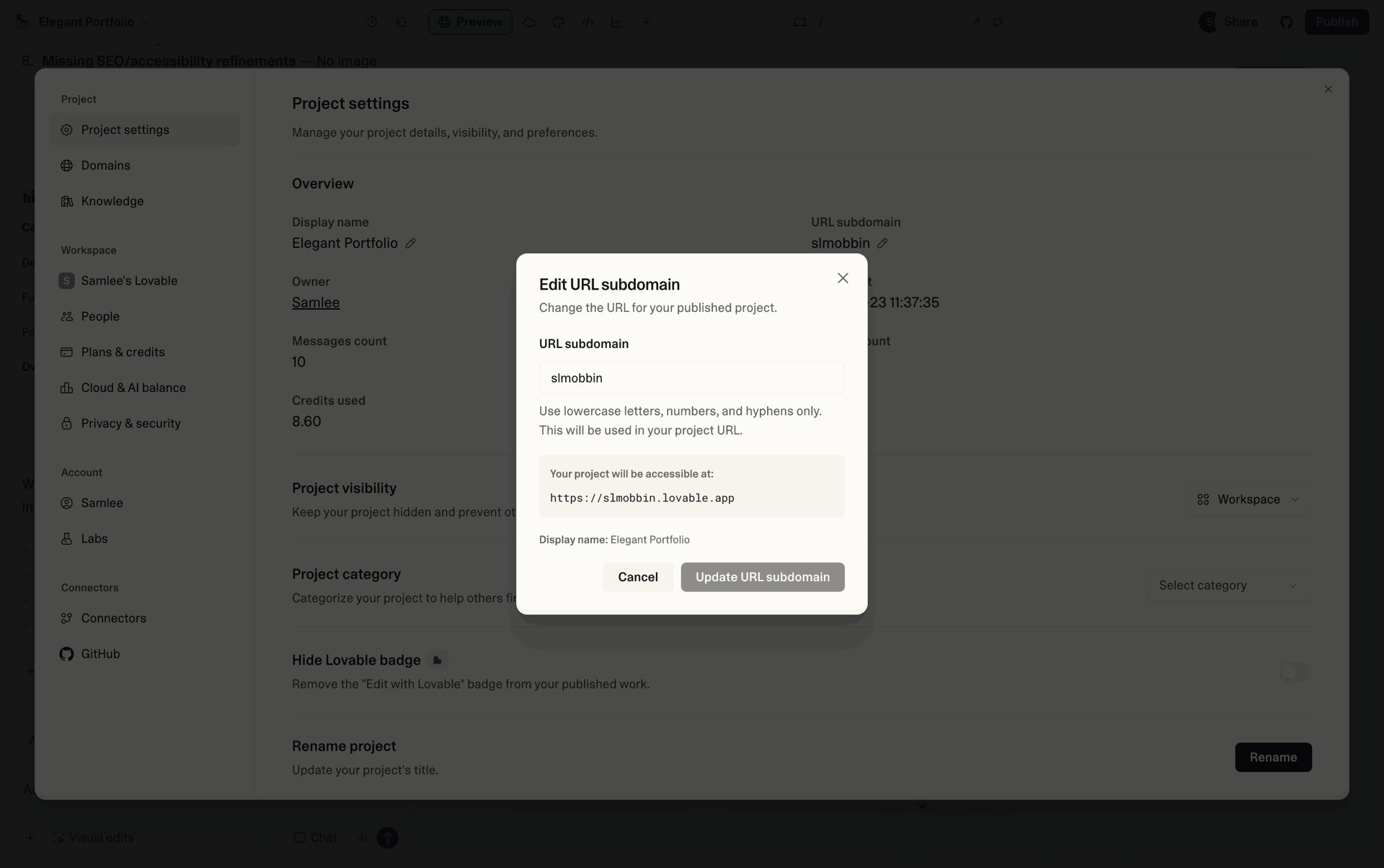Lovable Web Developer Tools interface screenshot 17
