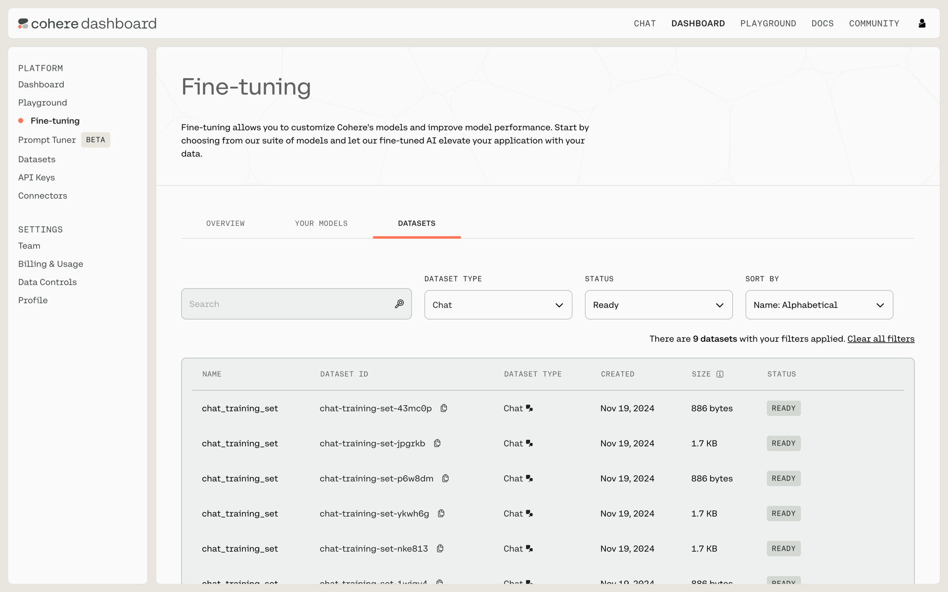 Cohere Web AI interface screenshot 13
