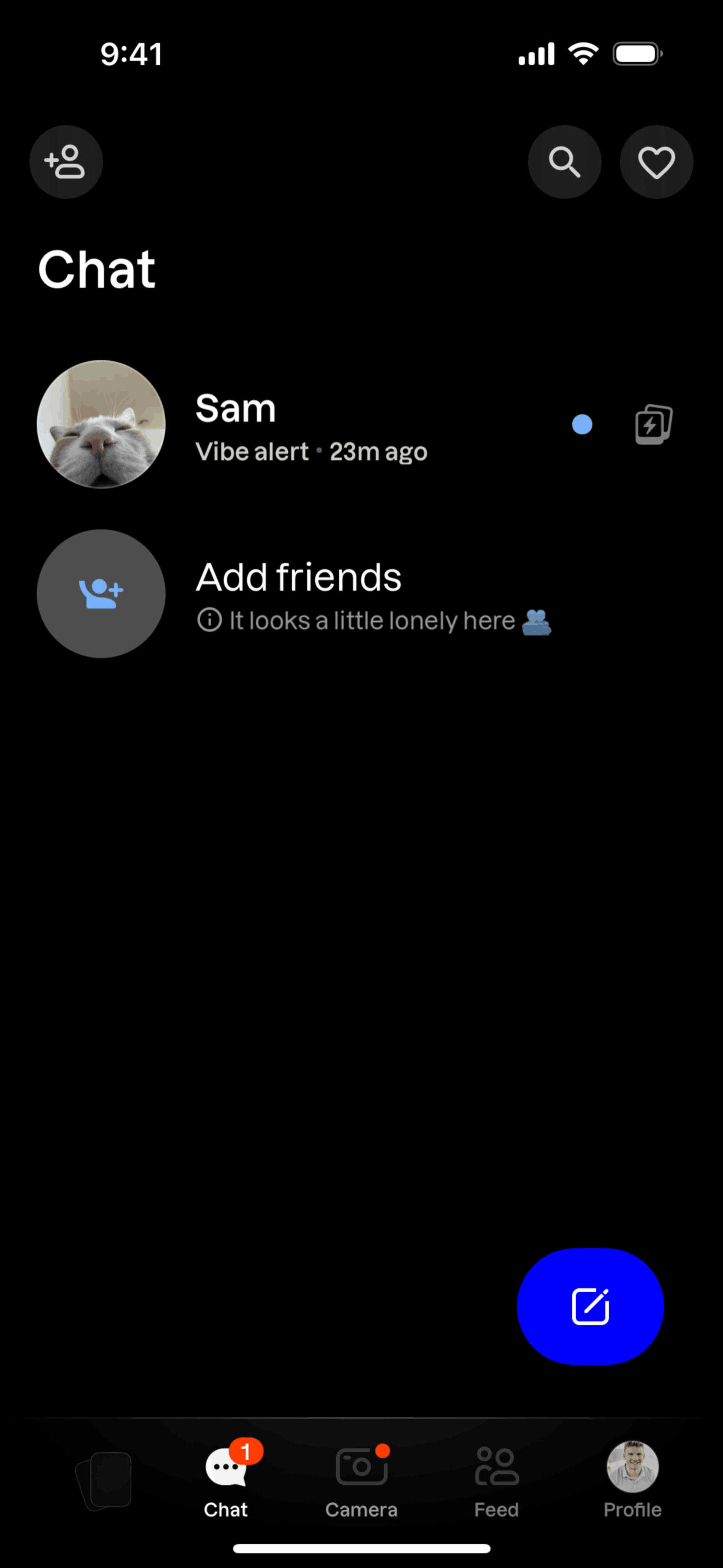 Lapse iOS Photo & Video interface screenshot 18
