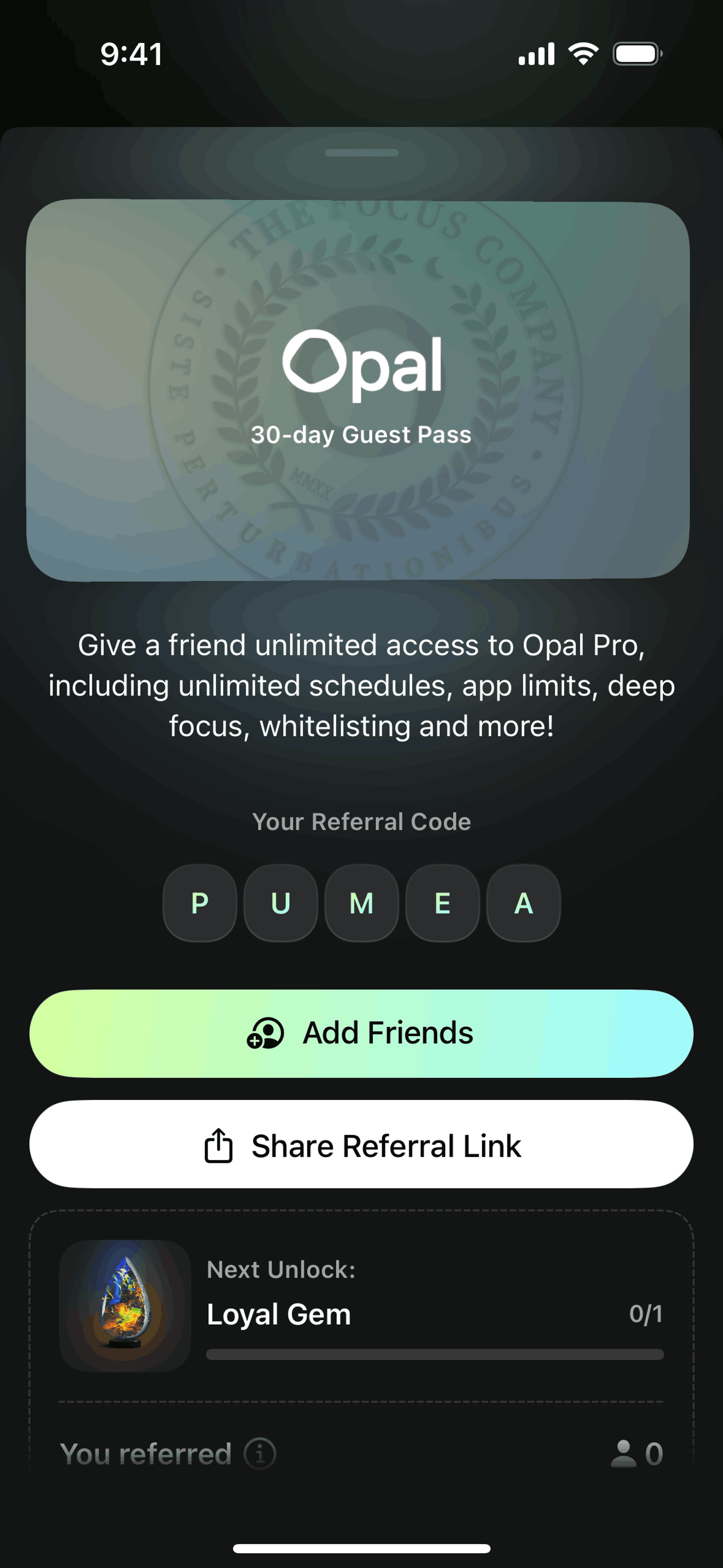 Opal iOS Productivity interface screenshot 23