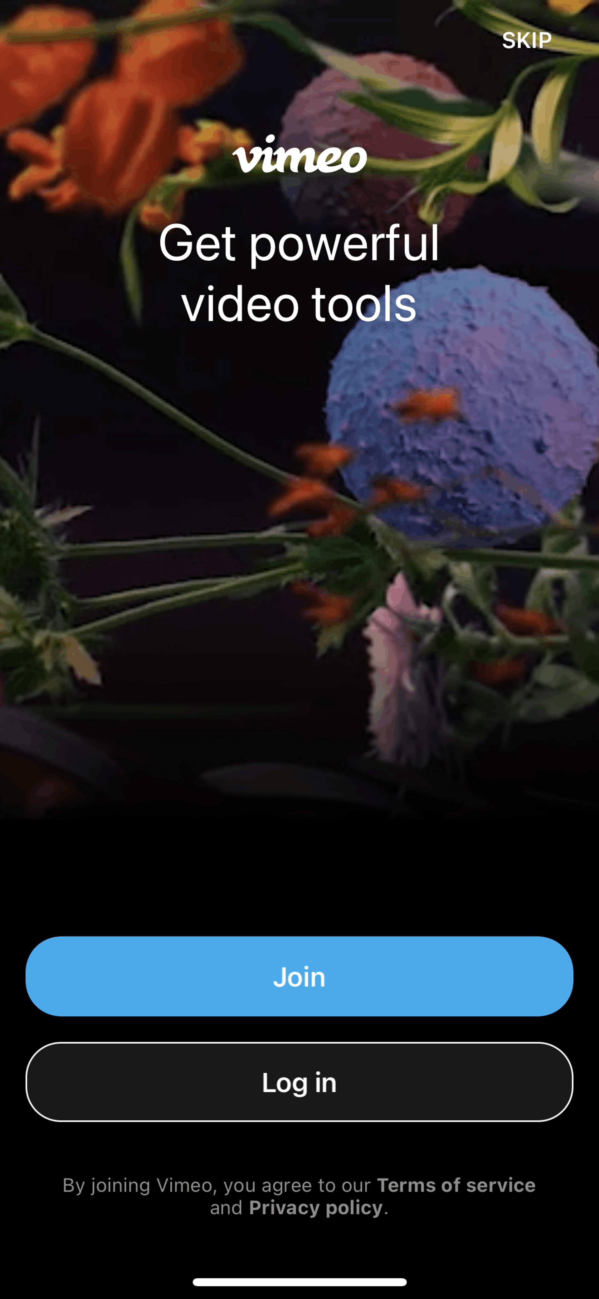 Vimeo iOS Photo & Video interface screenshot 1