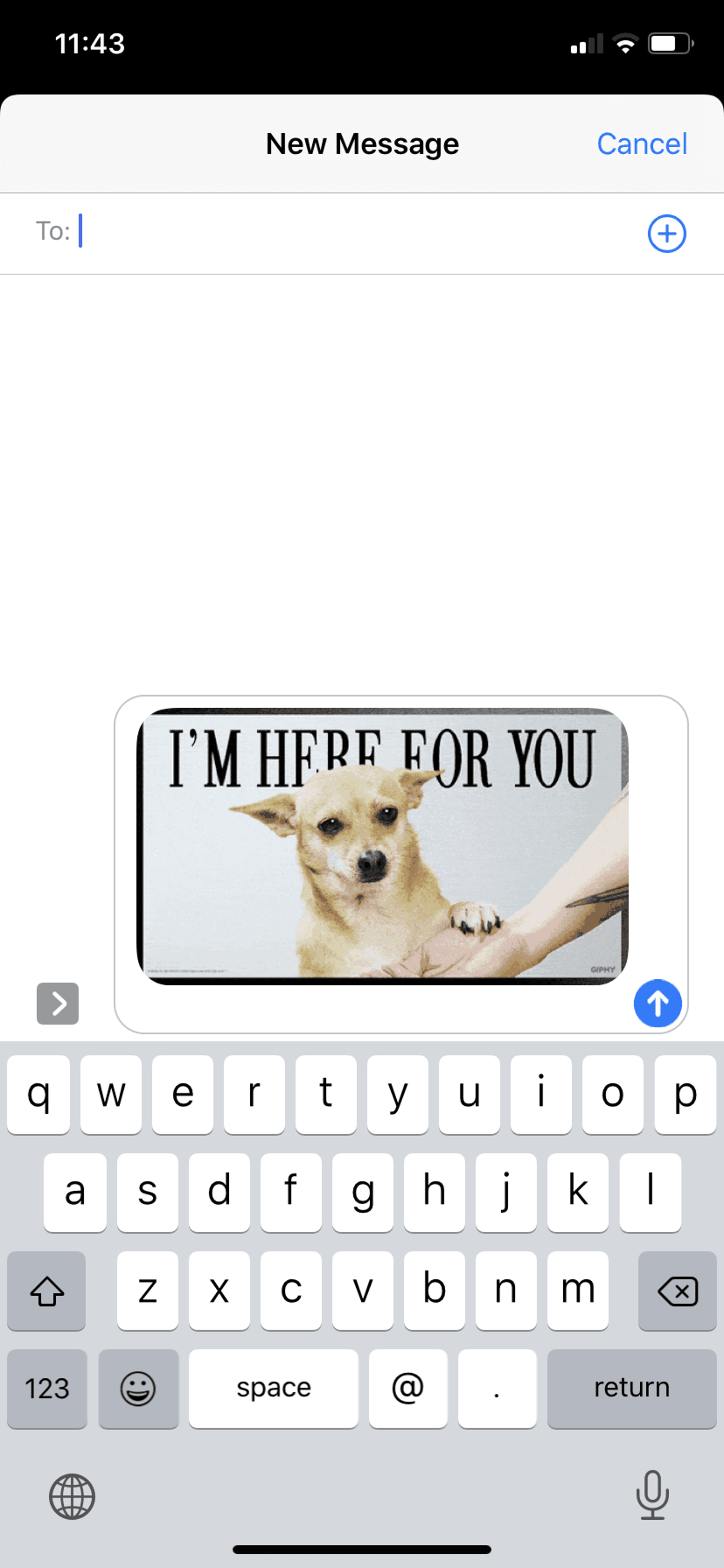 GIPHY iOS Photo & Video interface screenshot 17