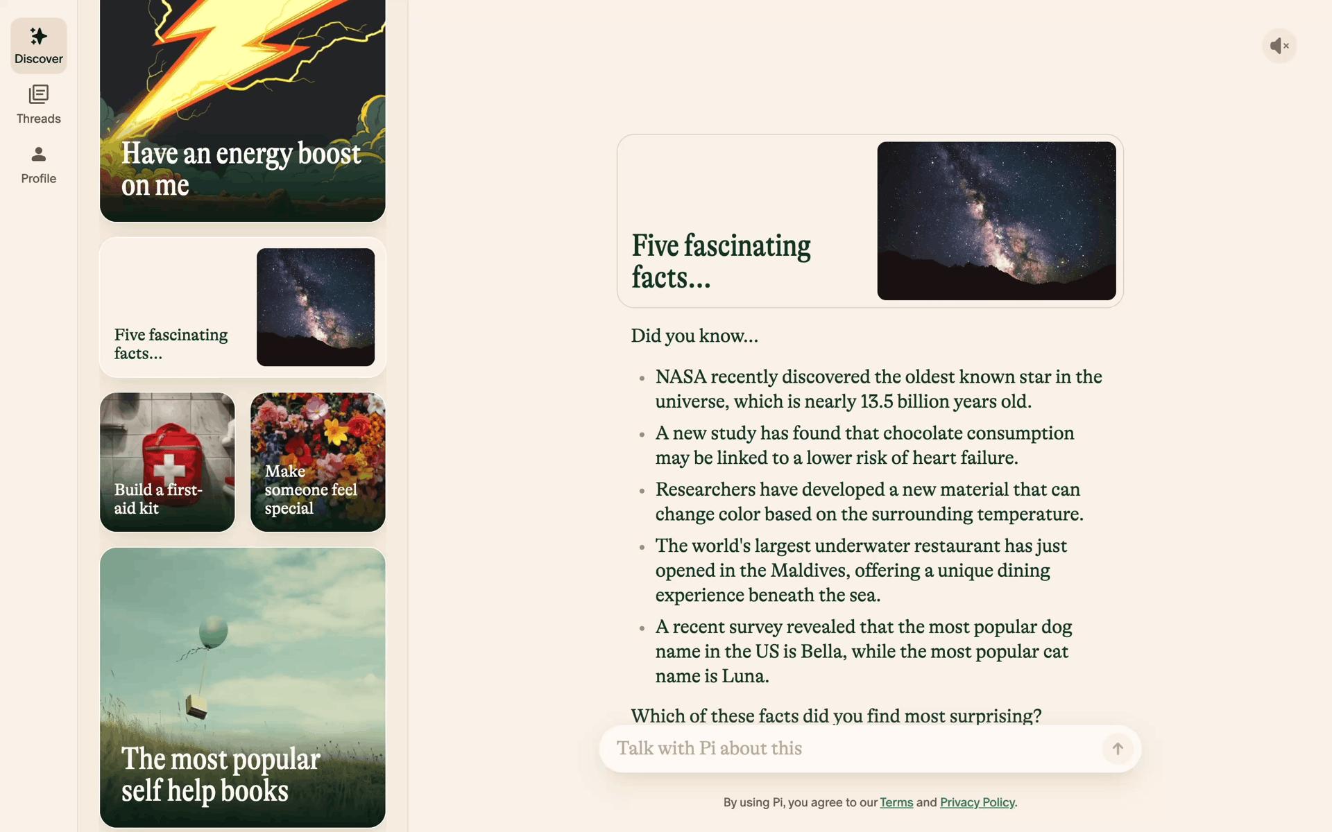 Pi Web AI interface screenshot 22