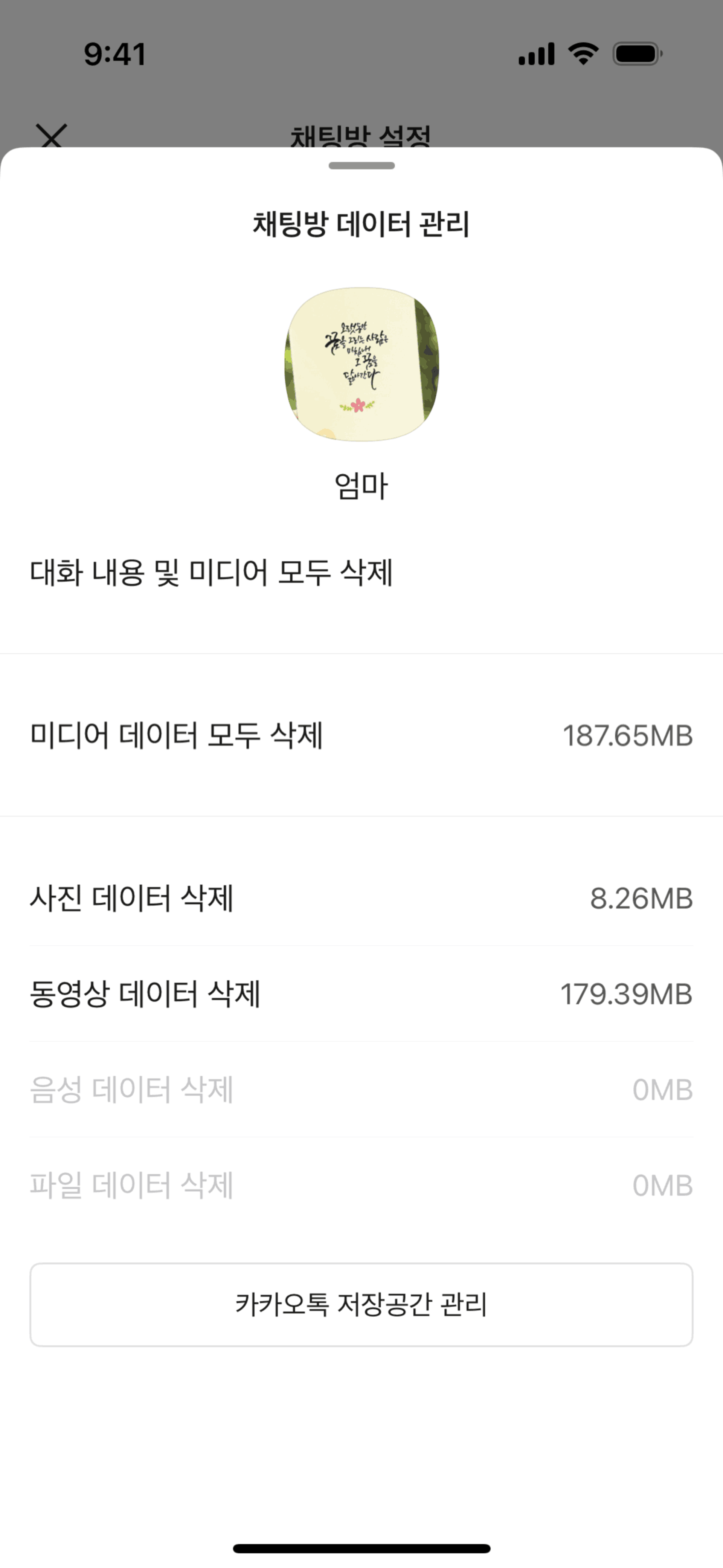 KakaoTalk iOS Social Networking interface screenshot 22