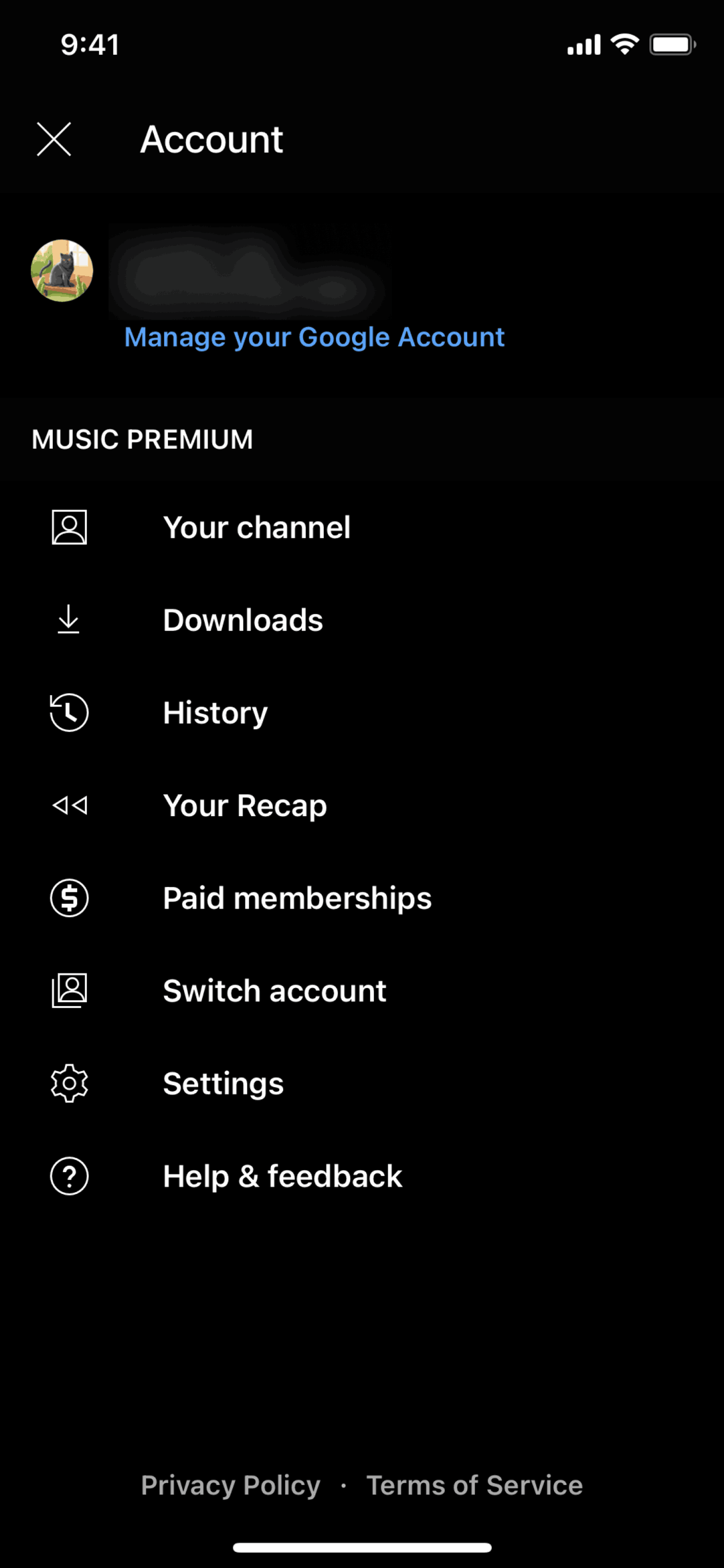 YouTube Music iOS Music & Audio interface screenshot 9