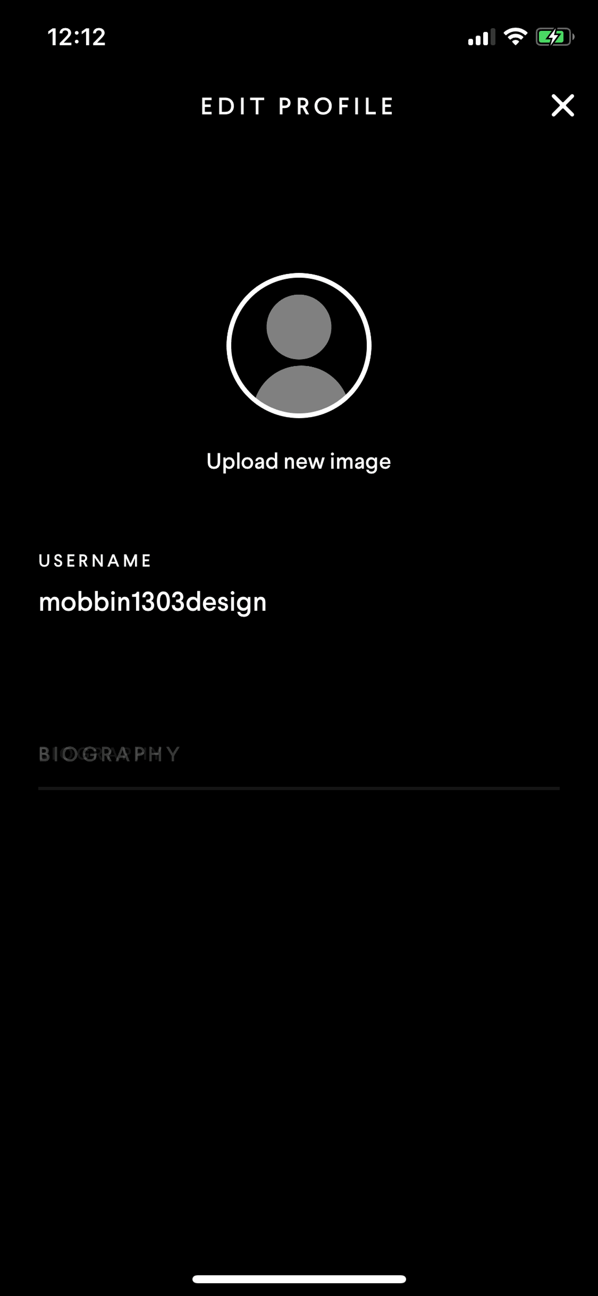 Pacemaker iOS Music & Audio interface screenshot 13