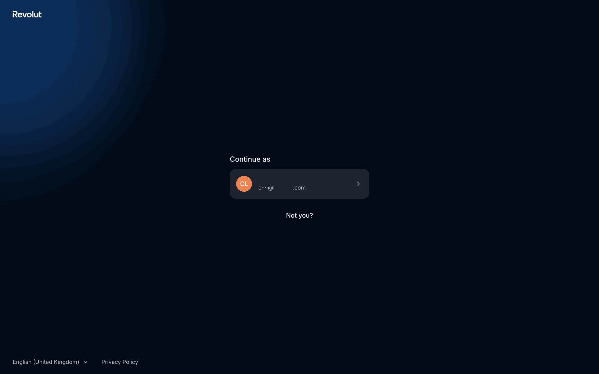 Revolut Business Web Finance interface screenshot 5