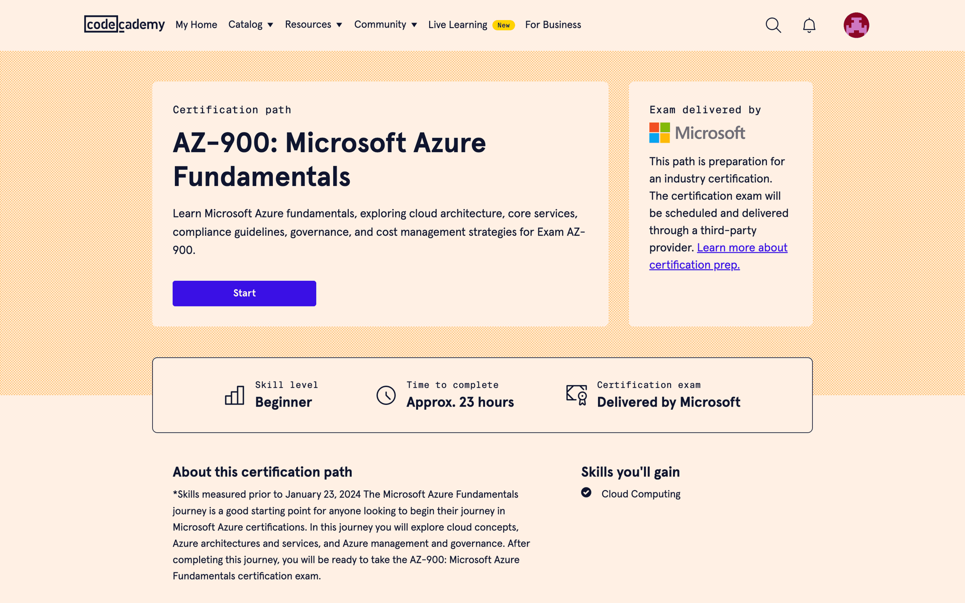 Codecademy Web AI interface screenshot 24