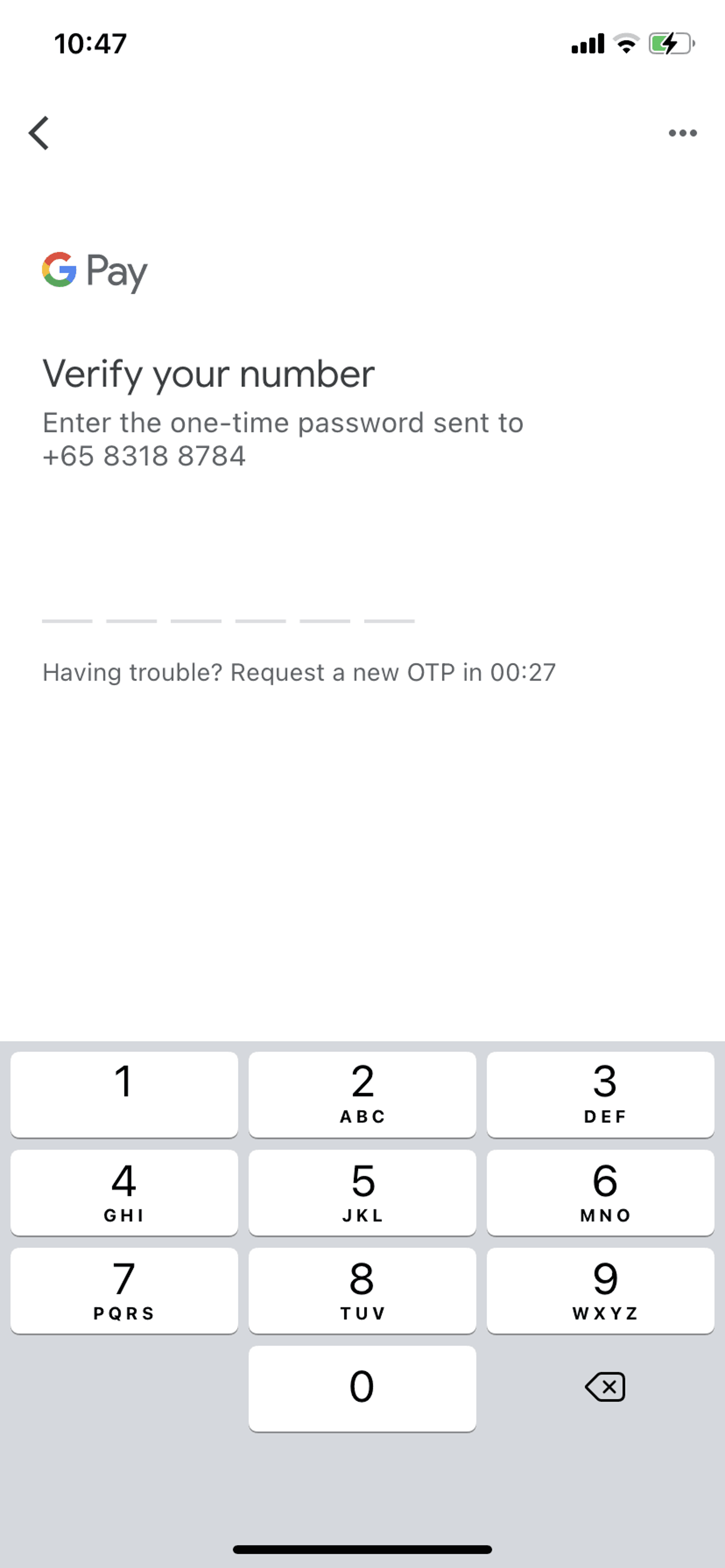 Google Pay iOS Finance interface screenshot 4