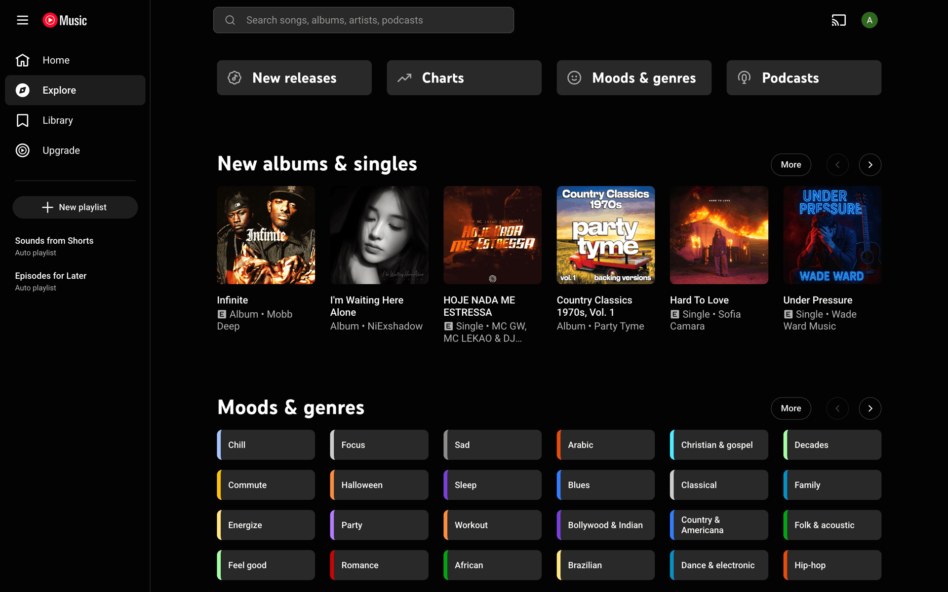 YouTube Music Web Music & Audio interface screenshot 23