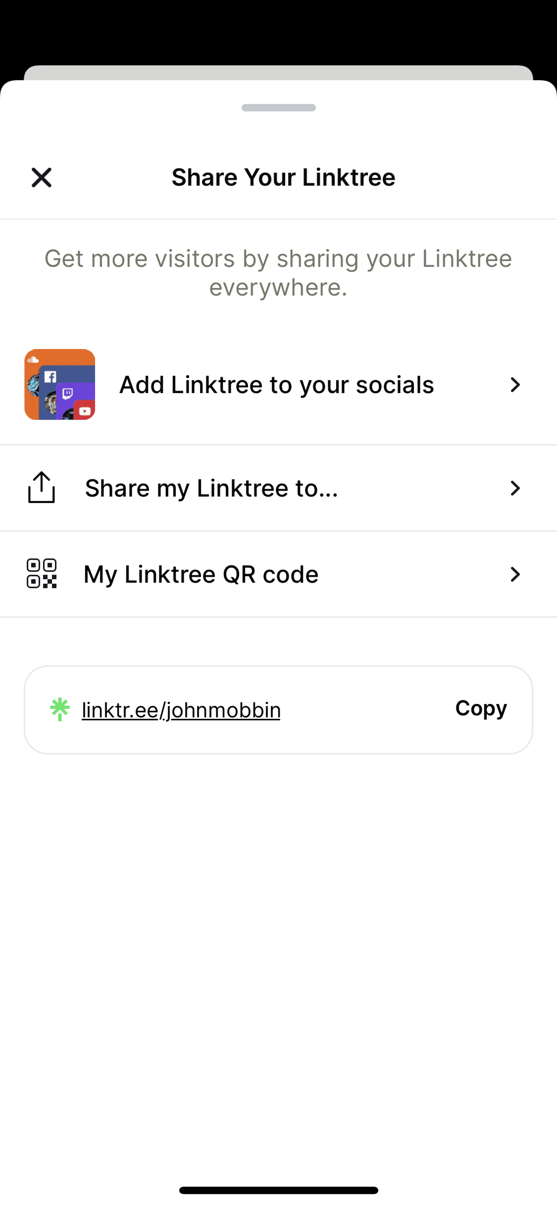 Linktree iOS Social Networking interface screenshot 8