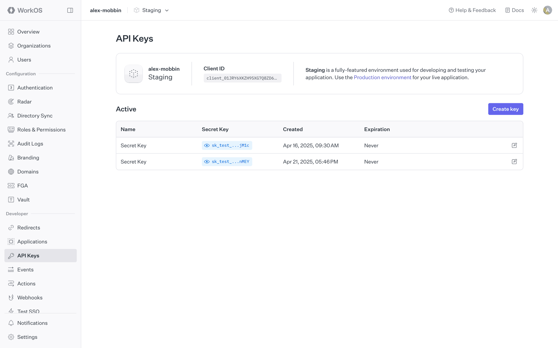 WorkOS Web Developer Tools interface screenshot 23