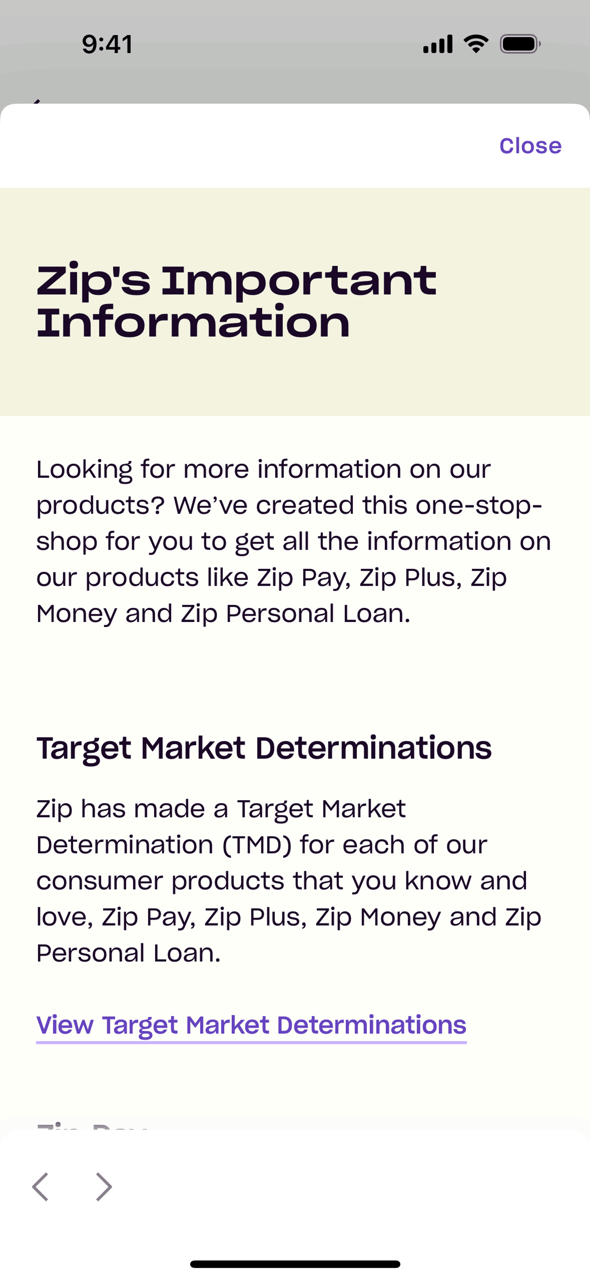 Zip iOS Finance interface screenshot 4