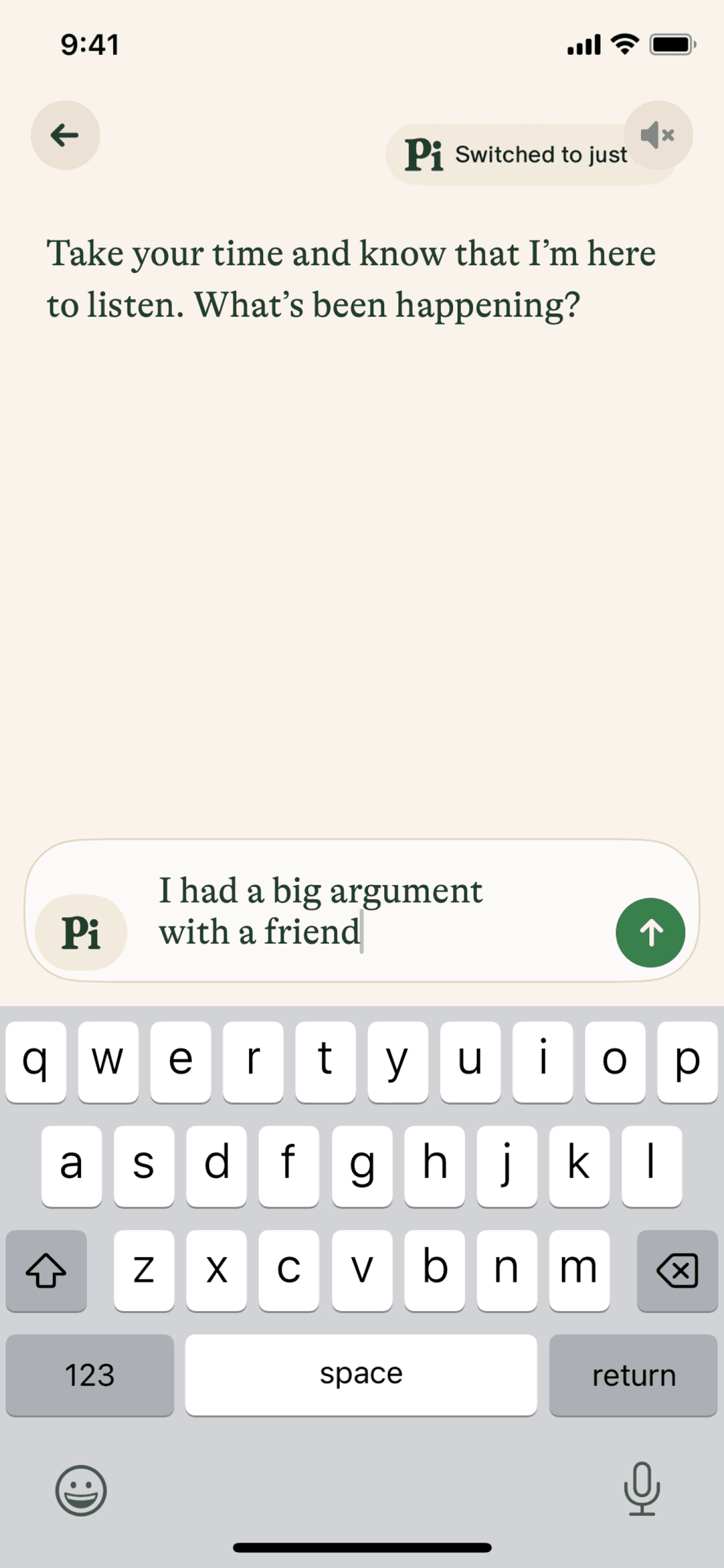 Pi iOS AI interface screenshot 21