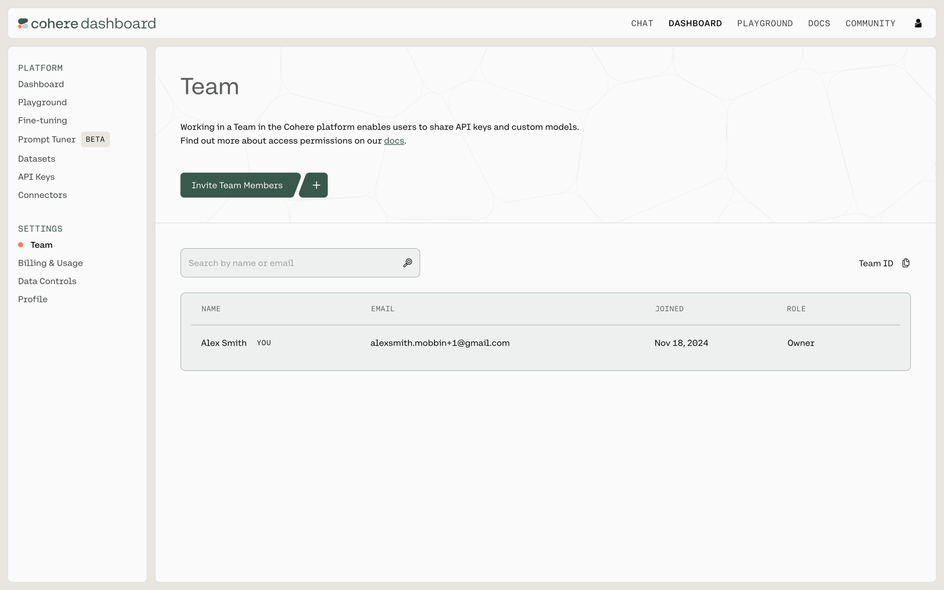 Cohere Web AI interface screenshot 24