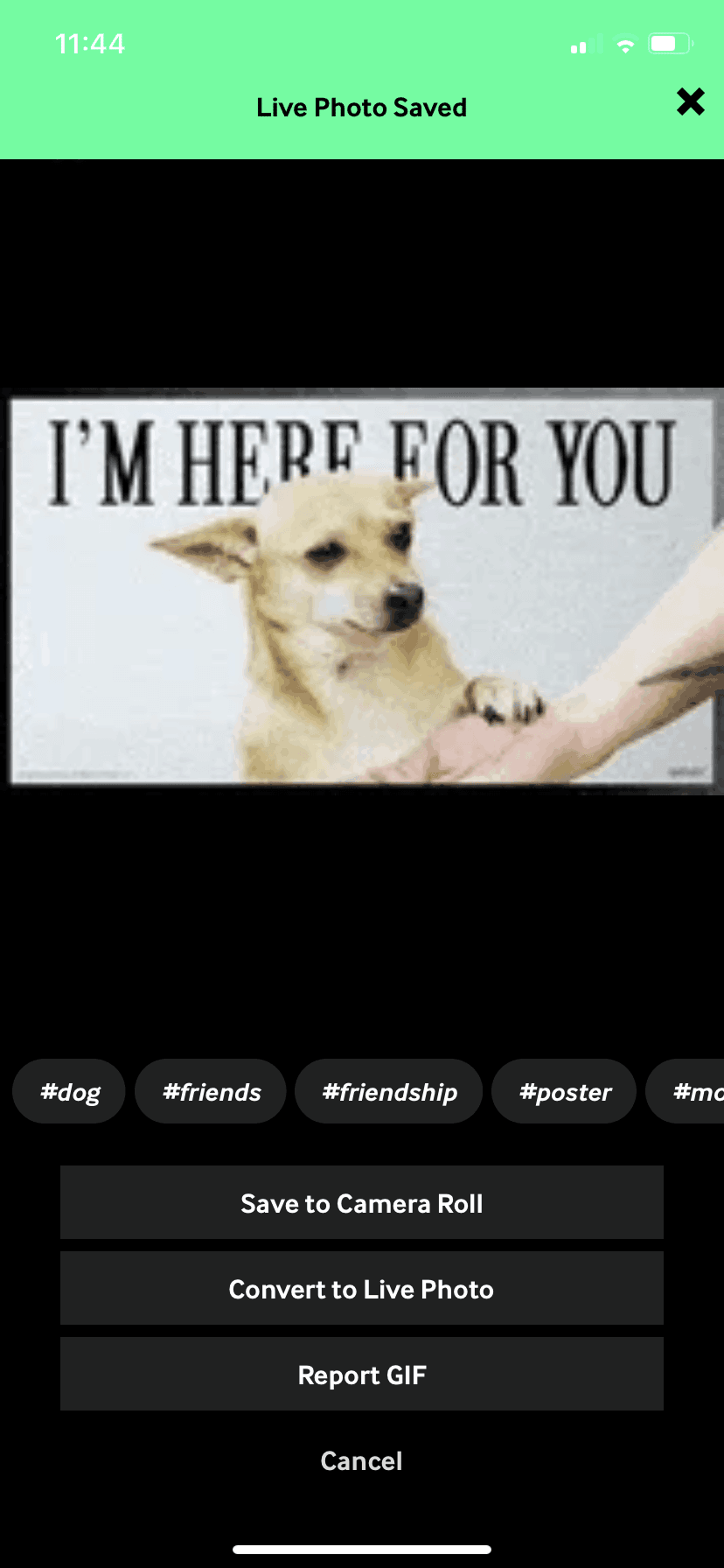 GIPHY iOS Photo & Video interface screenshot 23