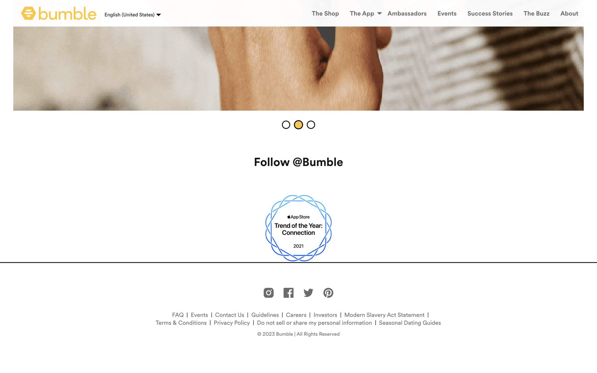 Bumble Web Lifestyle interface screenshot 3