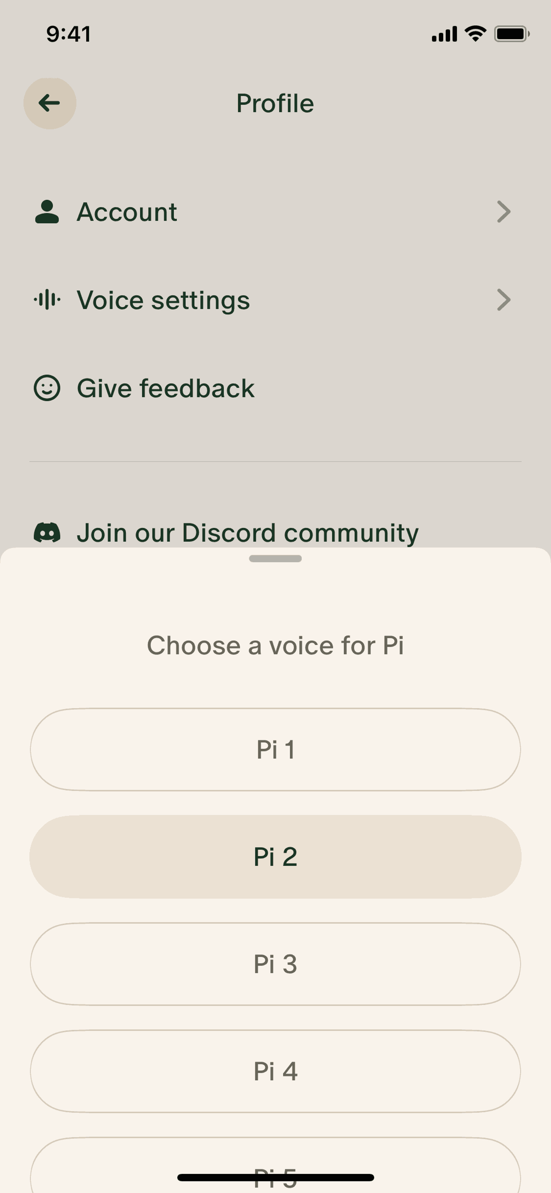 Pi iOS AI interface screenshot 12