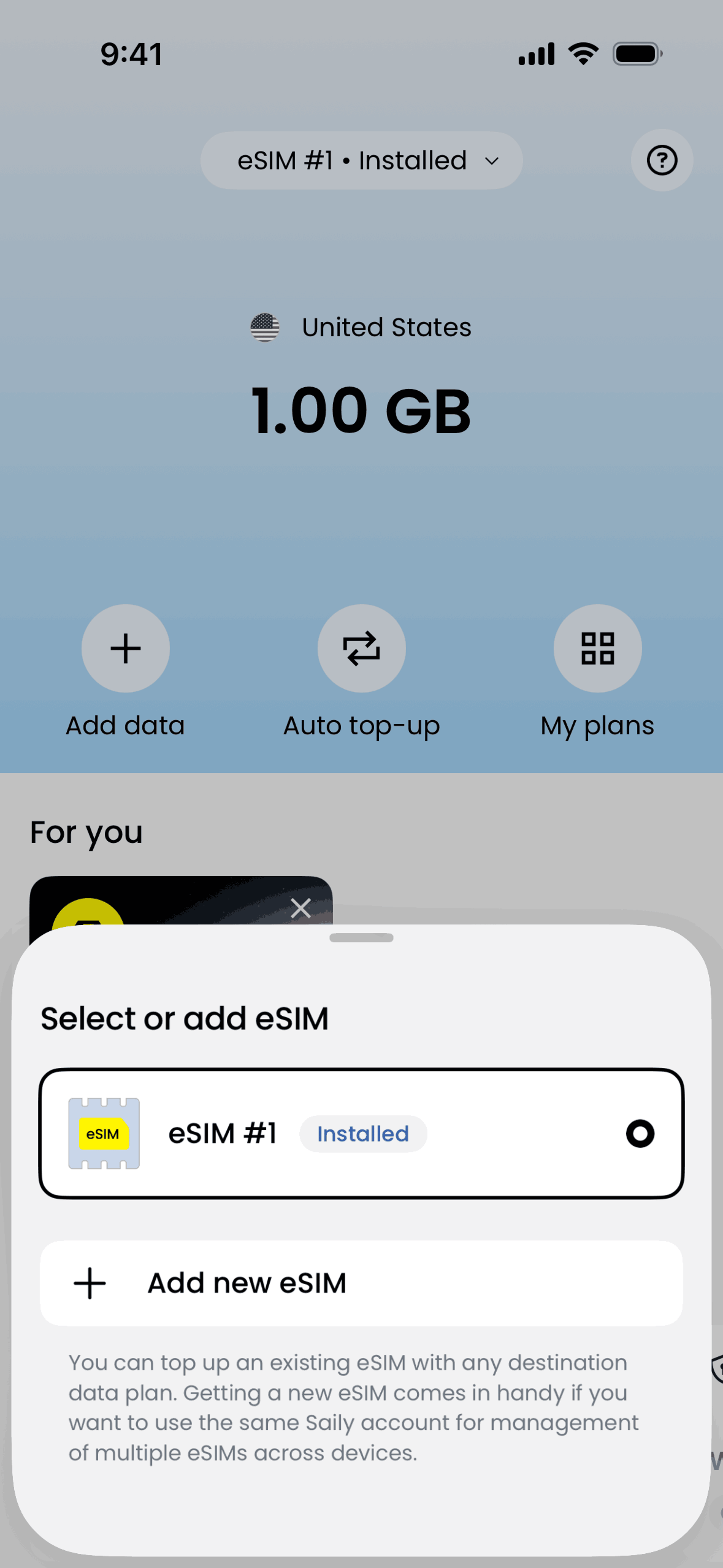 Saily iOS Travel & Transportation interface screenshot 24
