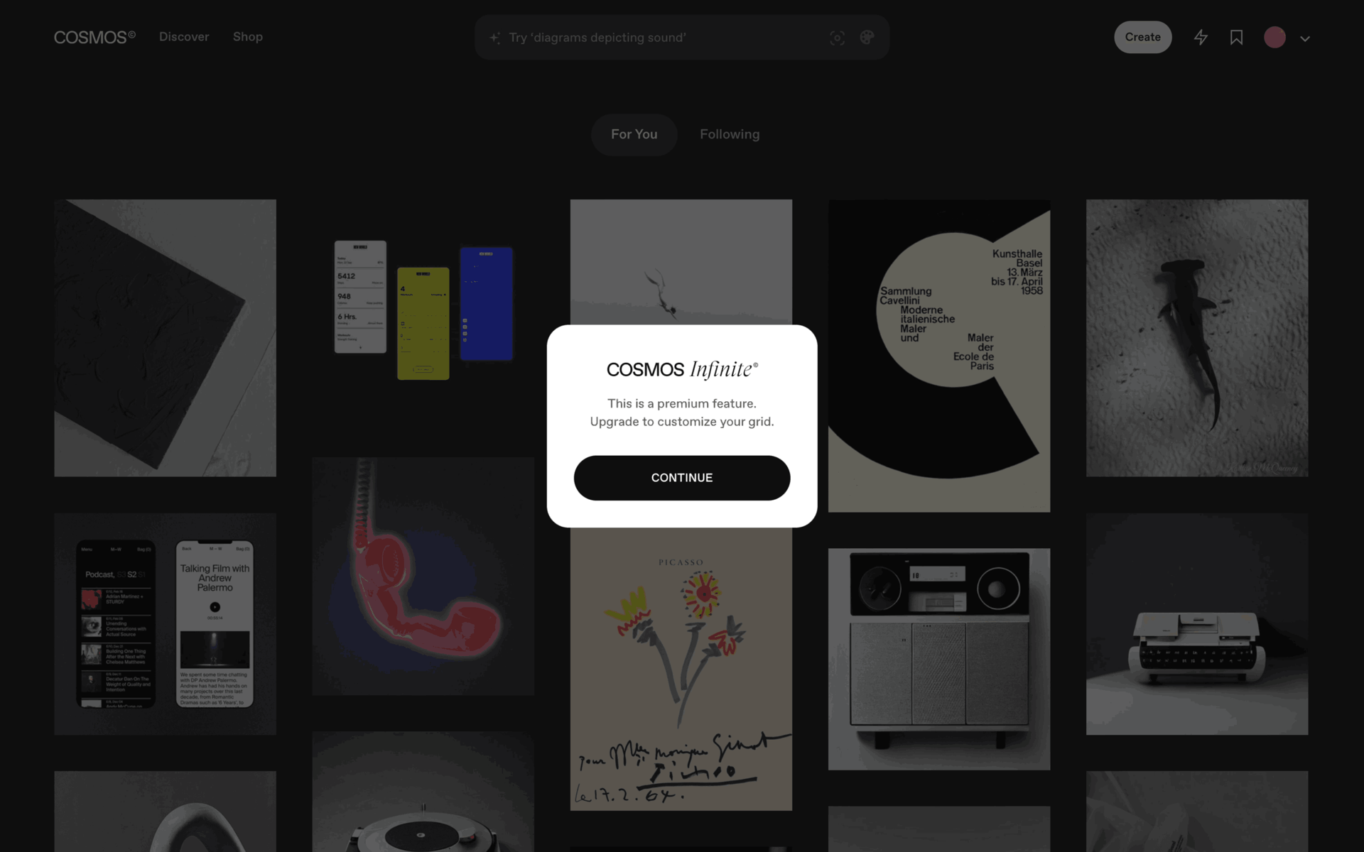 Cosmos Web Photo & Video interface screenshot 24
