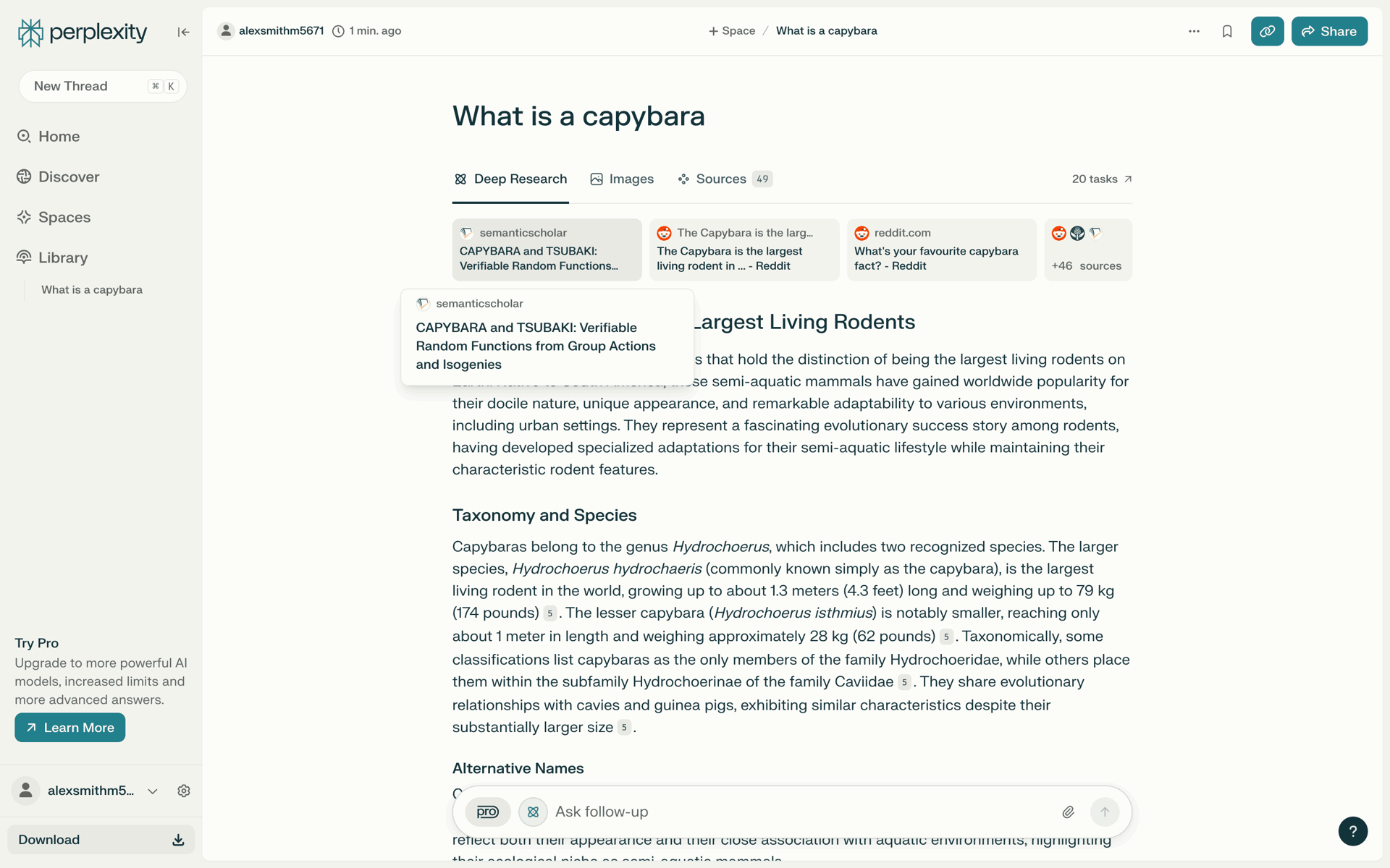 Perplexity Web AI interface screenshot 23