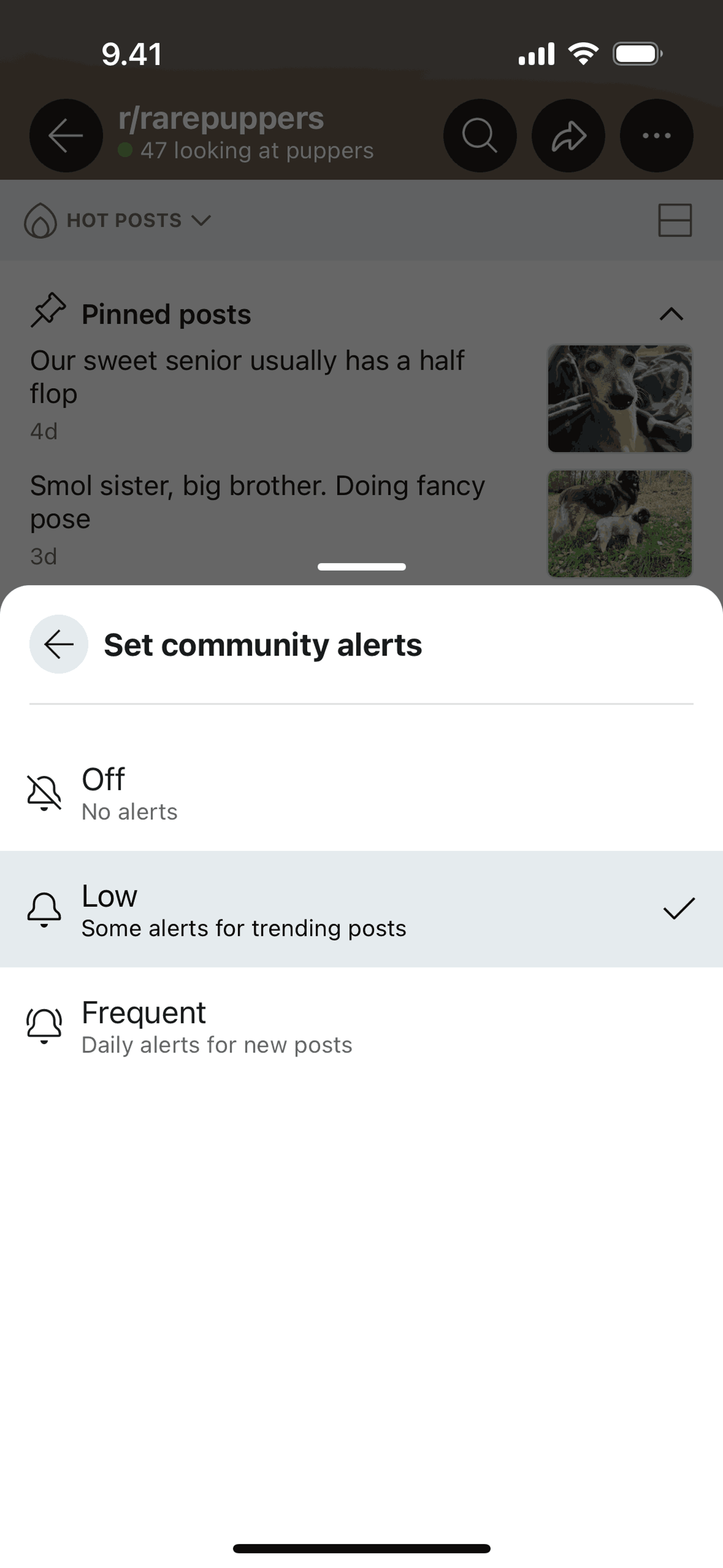Reddit iOS Social Networking interface screenshot 13