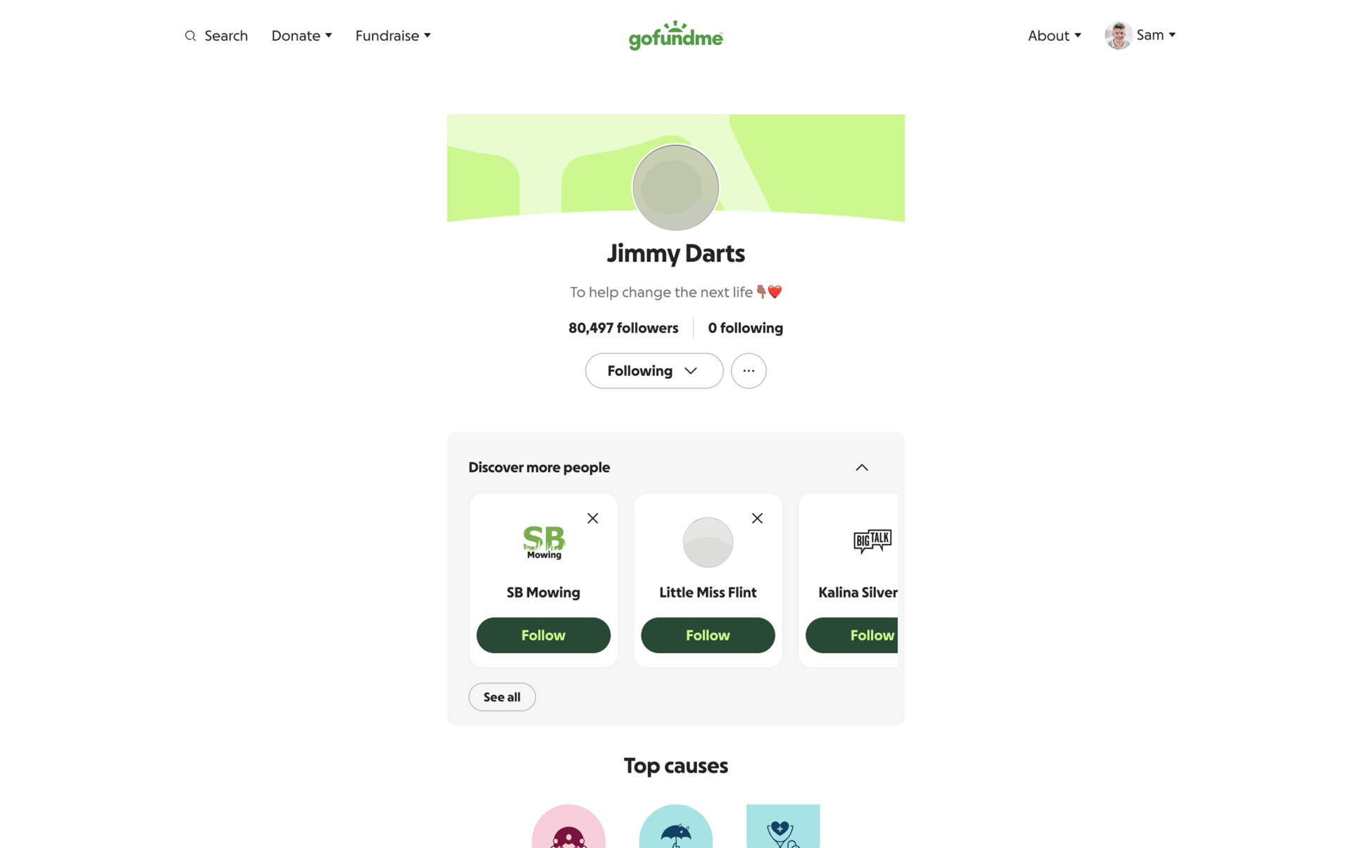 GoFundMe Web Finance interface screenshot 21