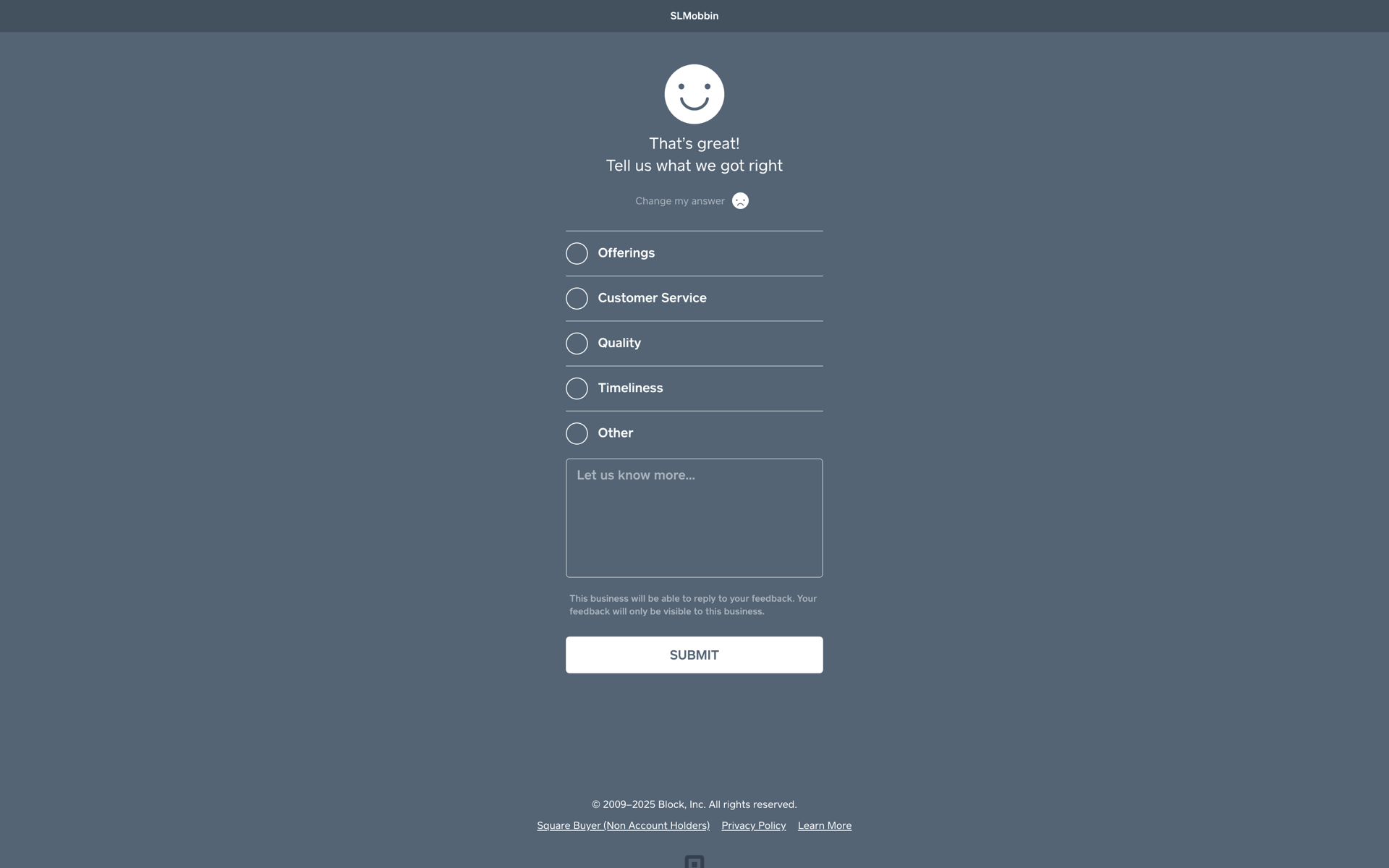 Square Web Finance interface screenshot 10