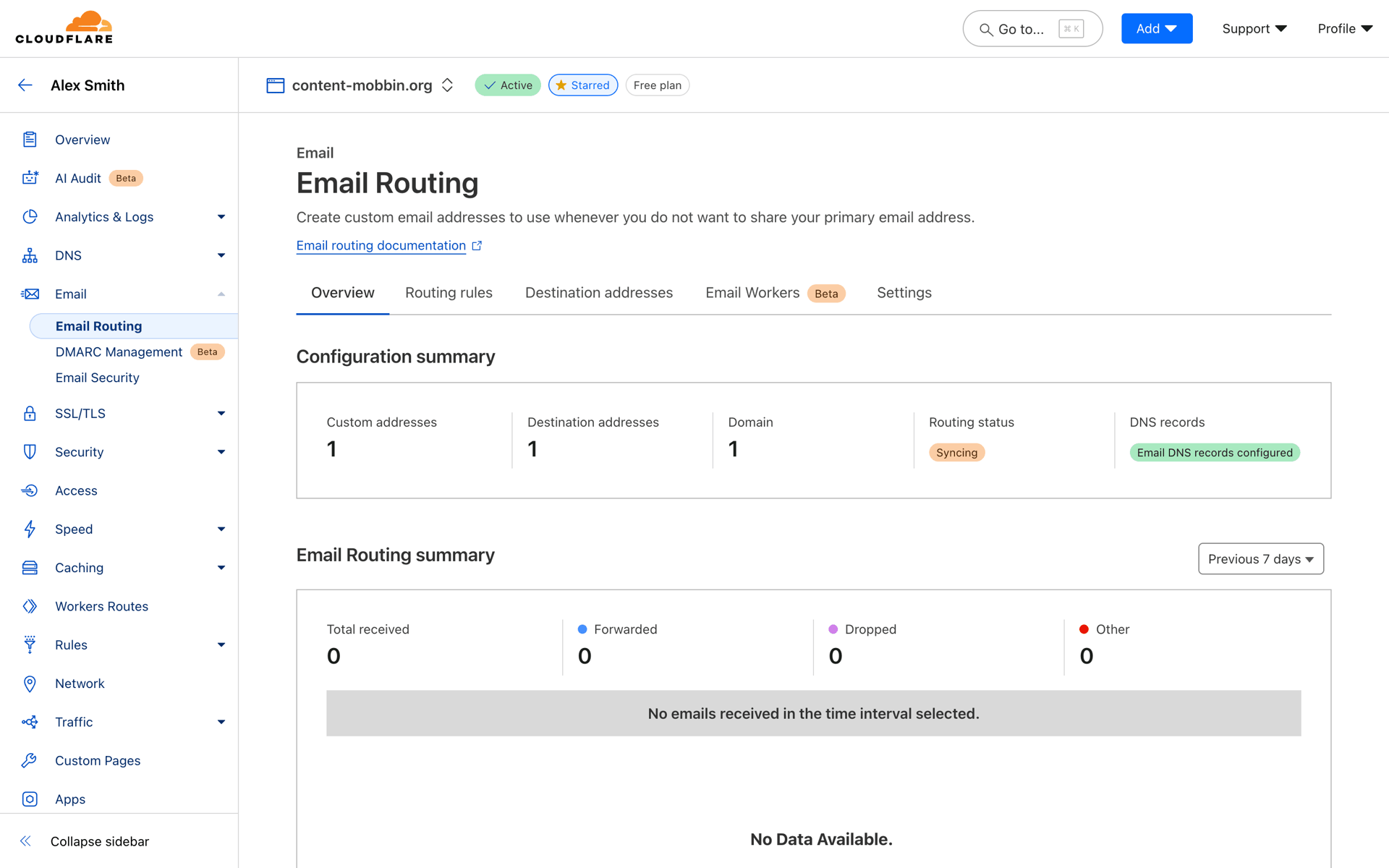 Cloudflare Web Developer Tools interface screenshot 4