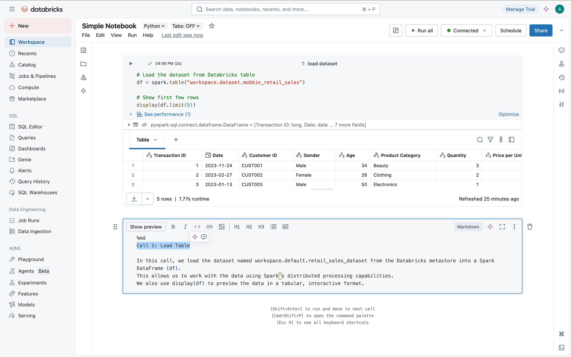 Databricks Web Developer Tools interface screenshot 19