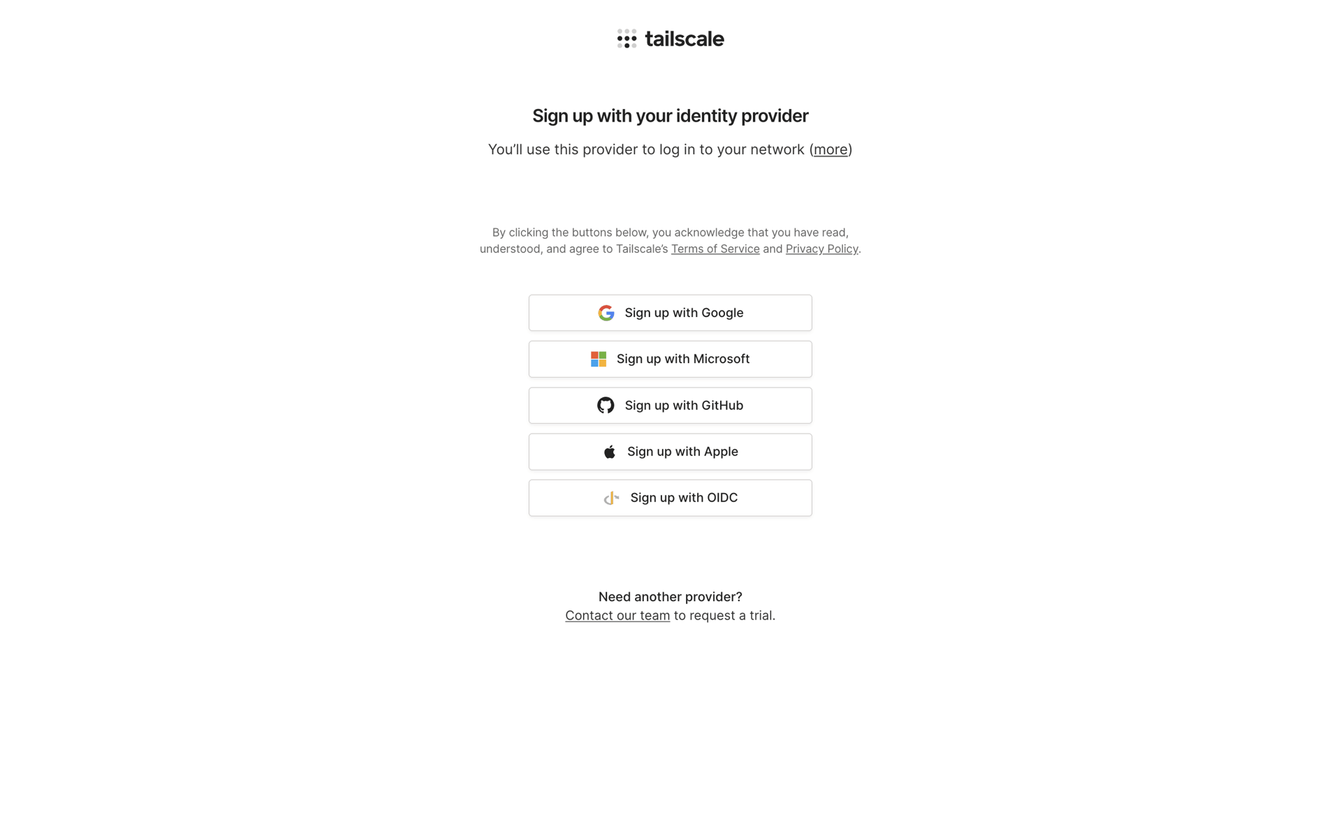 Tailscale Web Developer Tools interface screenshot 4