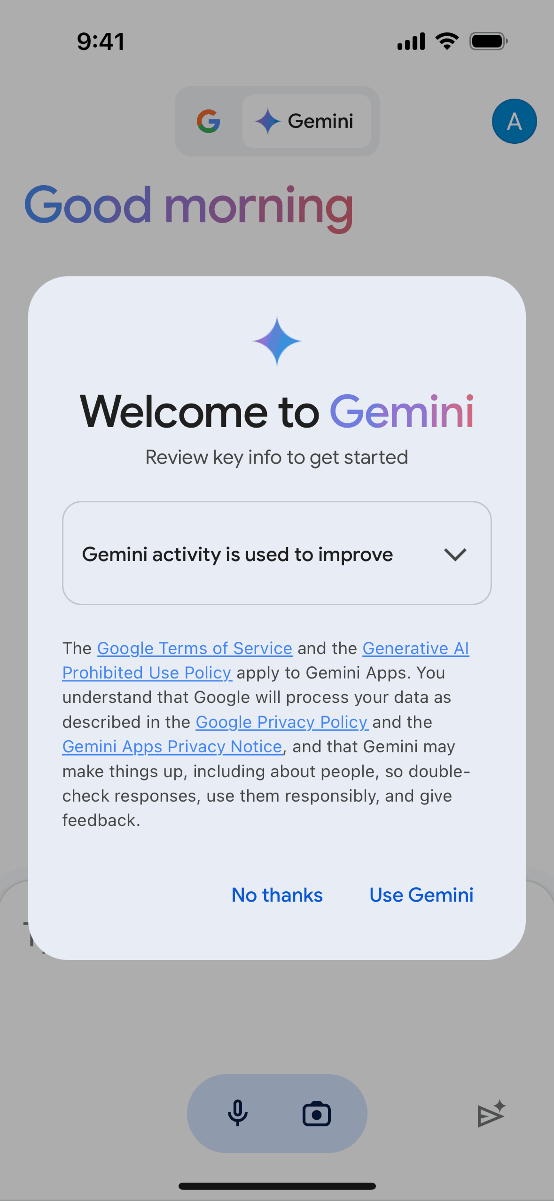 Google iOS AI interface screenshot 24