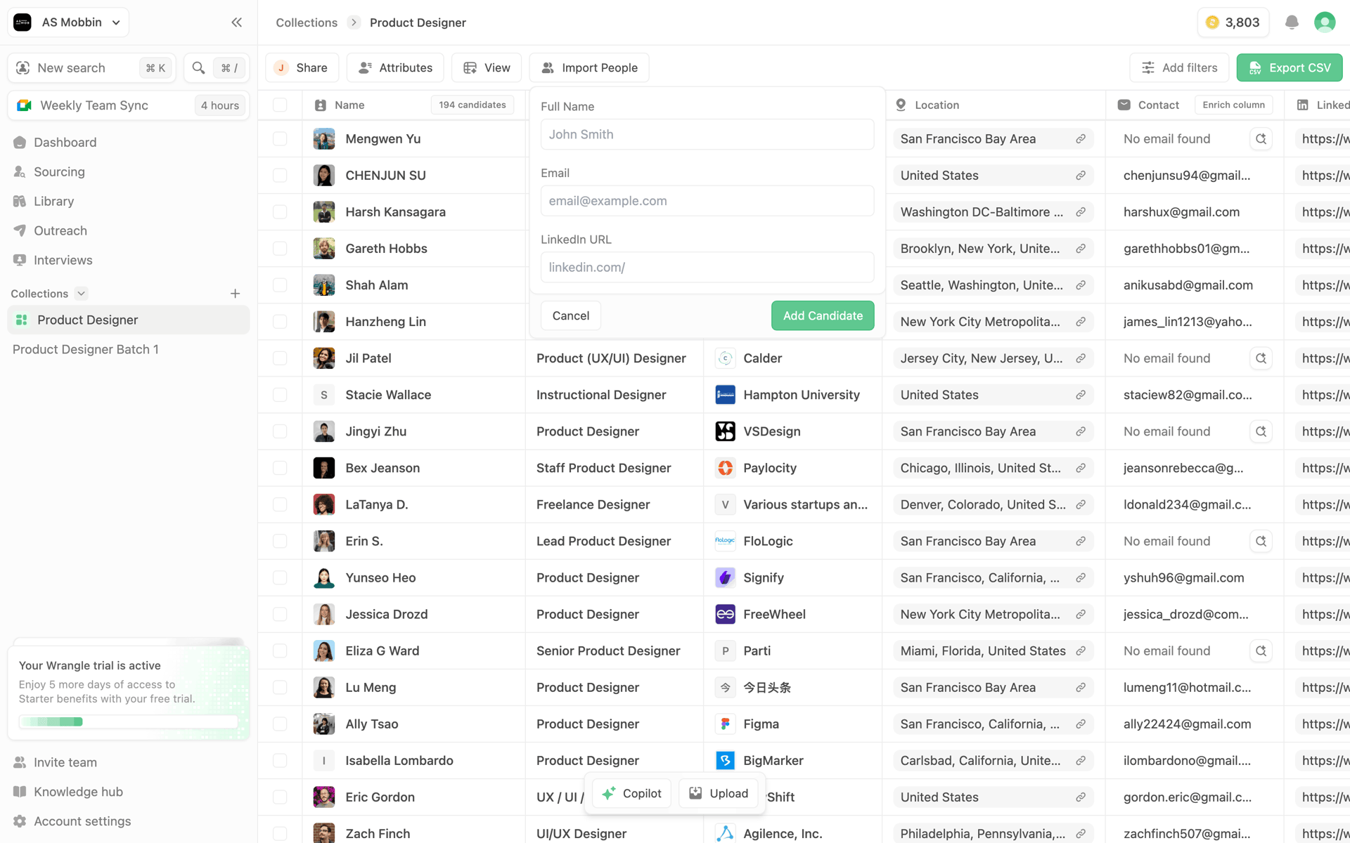 Wrangle Web AI interface screenshot 19