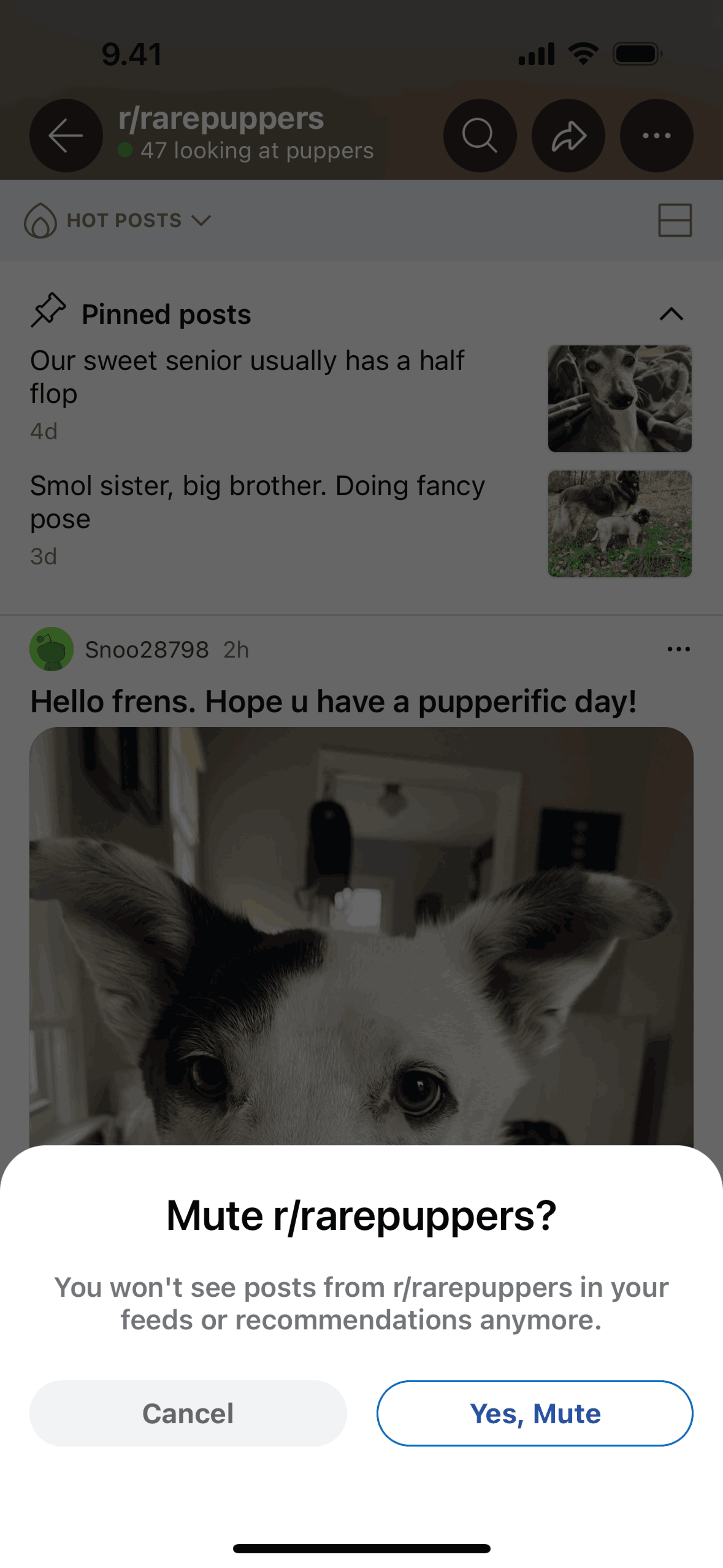 Reddit iOS Social Networking interface screenshot 15