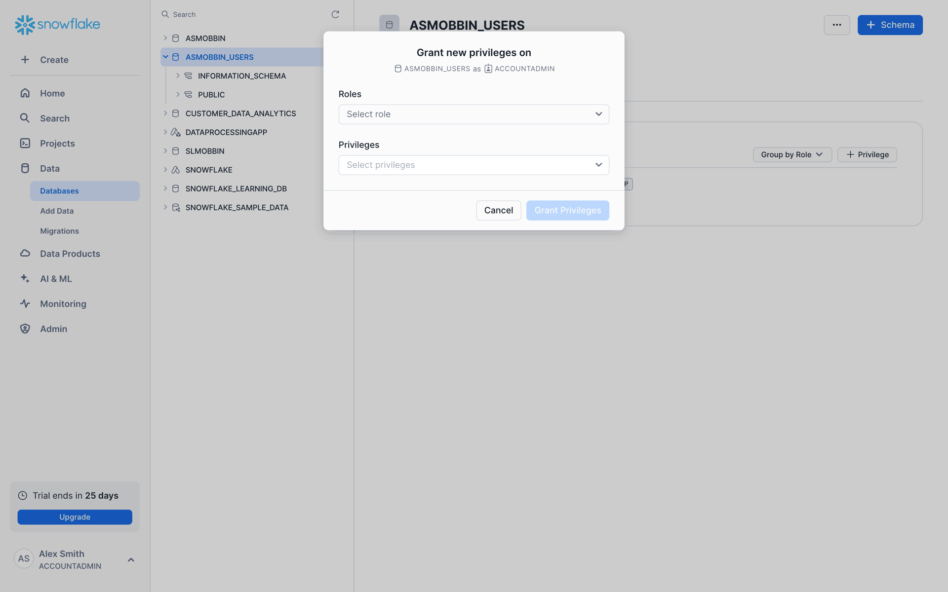 Snowflake Web Developer Tools interface screenshot 12