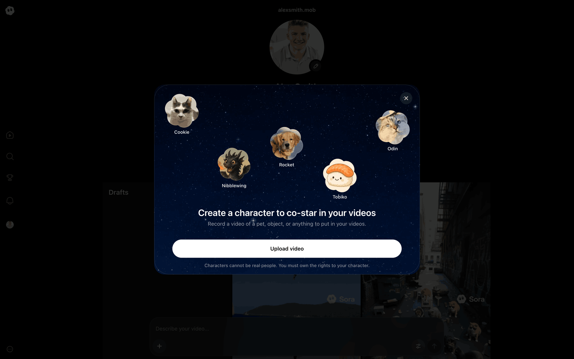 Sora Web AI interface screenshot 15