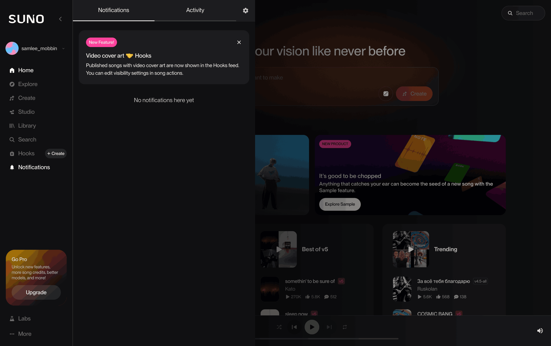 Suno Web AI interface screenshot 3