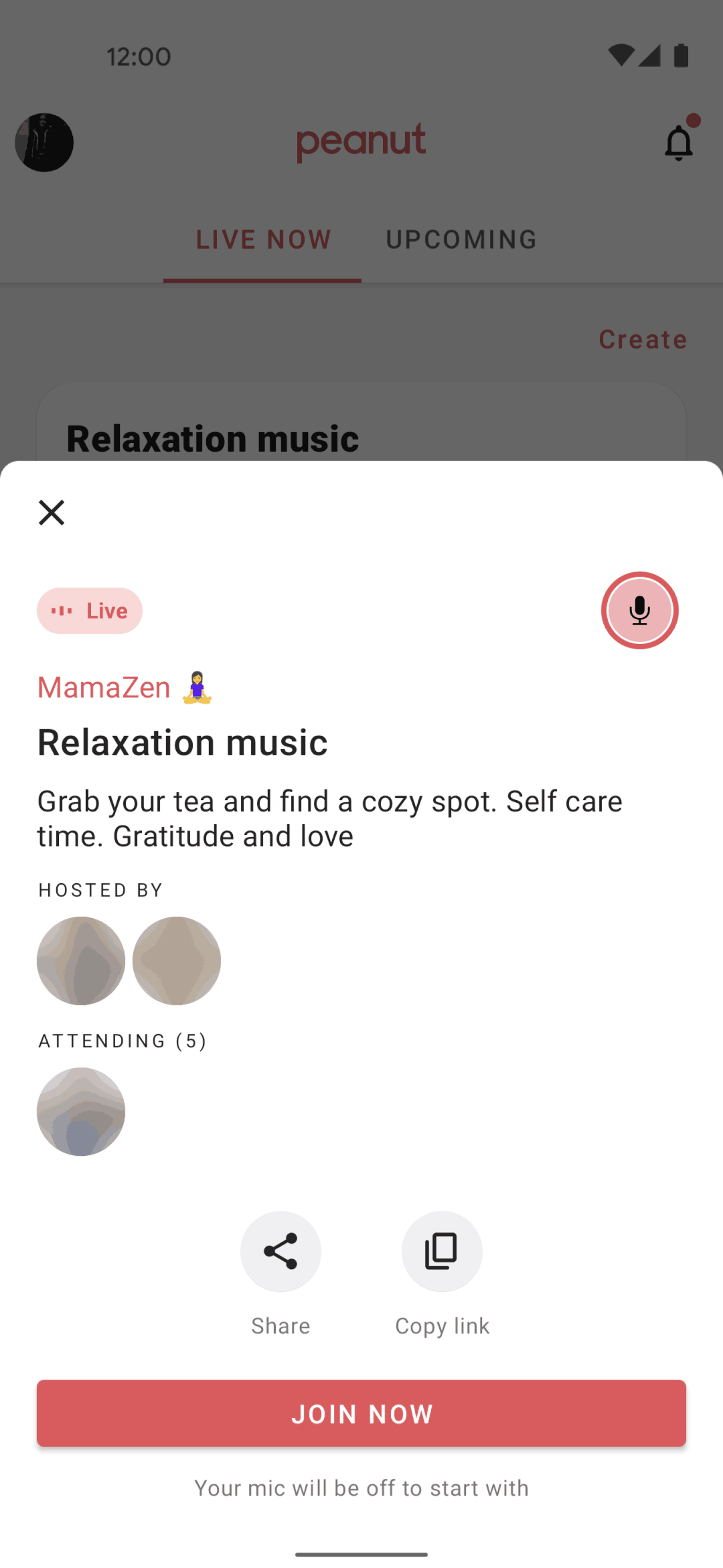 Peanut Android Social Networking interface screenshot 13