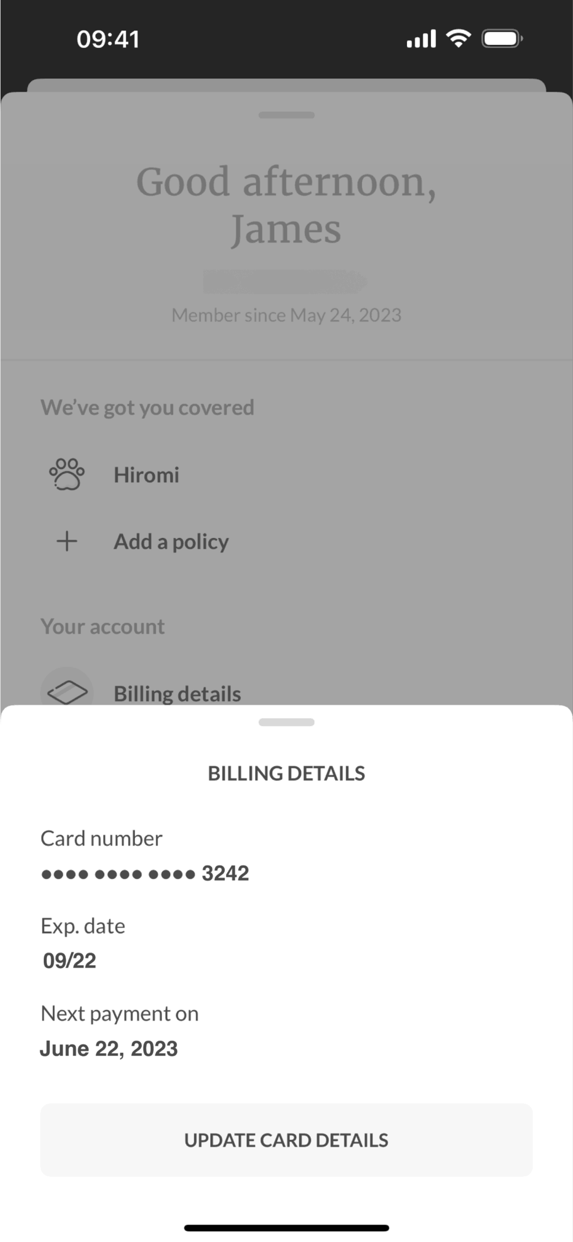 Lemonade Insurance iOS Finance interface screenshot 21
